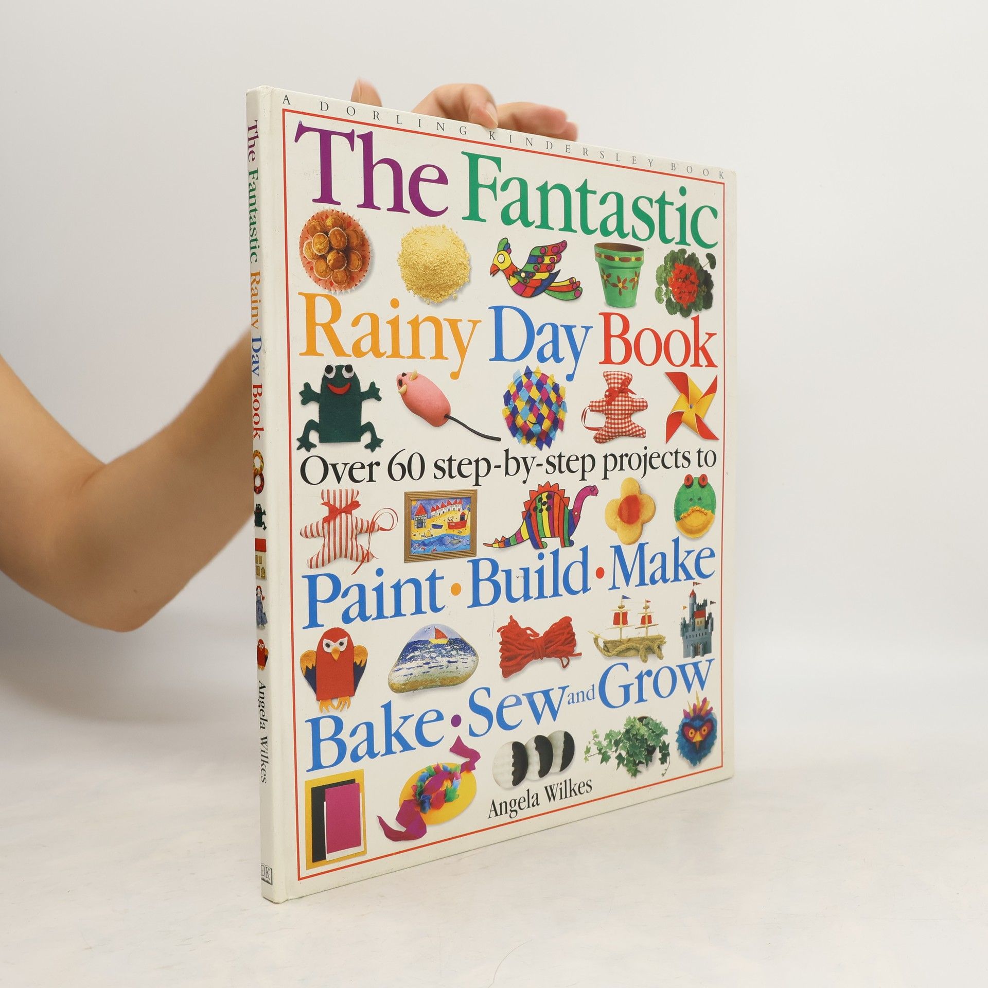 Angela Wilkes The Fantastic Rainy Day Book