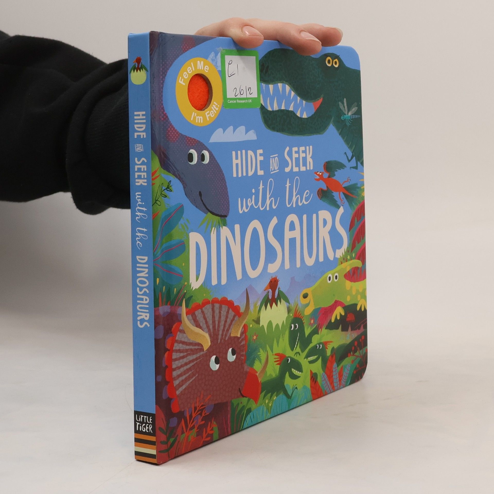 Rosamund Lloyd Hide and Seek With the Dinosaurs
