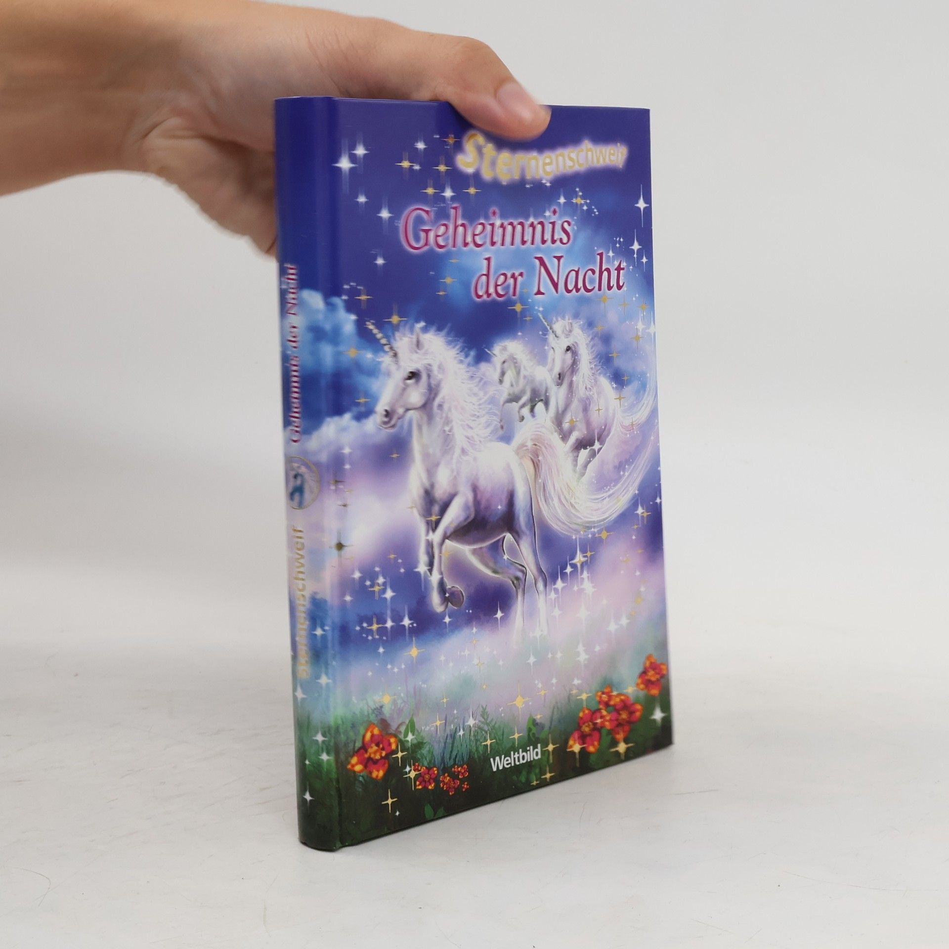 AA.VV. Sternenschweit. Geheimnis der Nacht