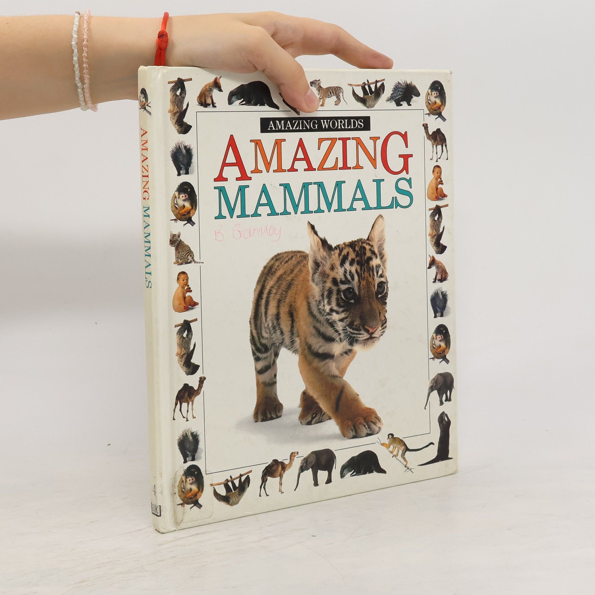 Alexandra Parsons Amazing Mammals
