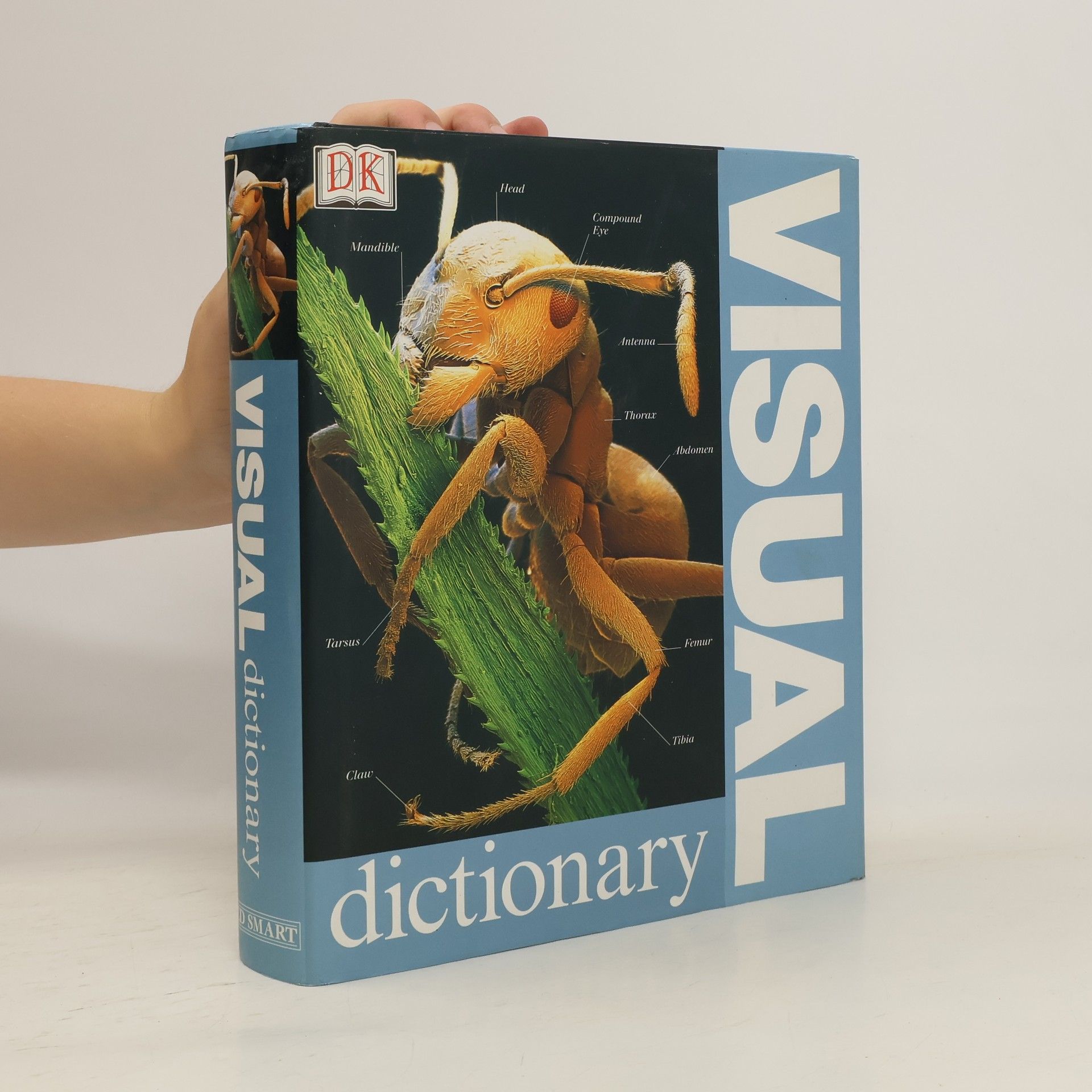 Collective Visual Dictionary