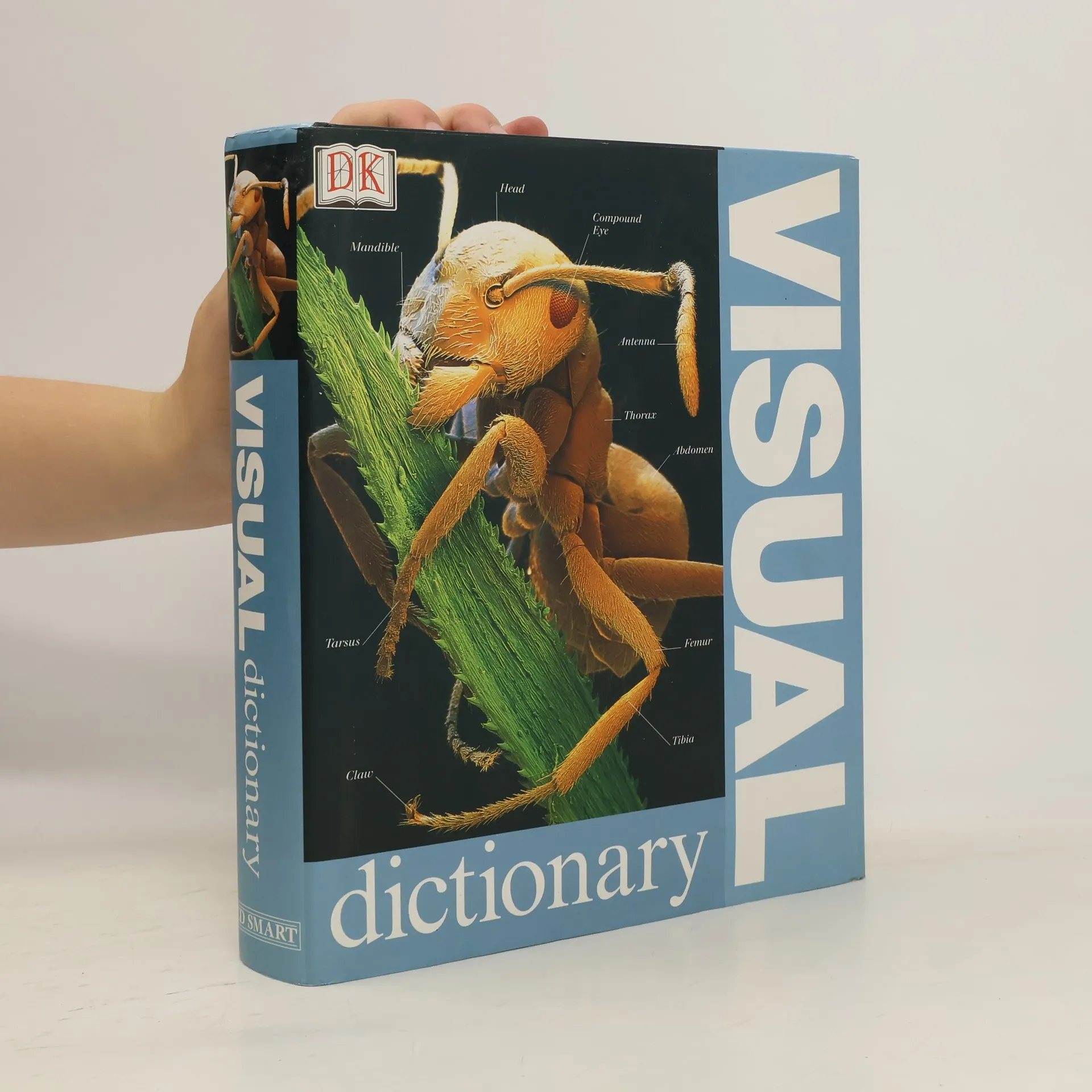 Visual Dictionary | kolektiv | Inglese | Libro