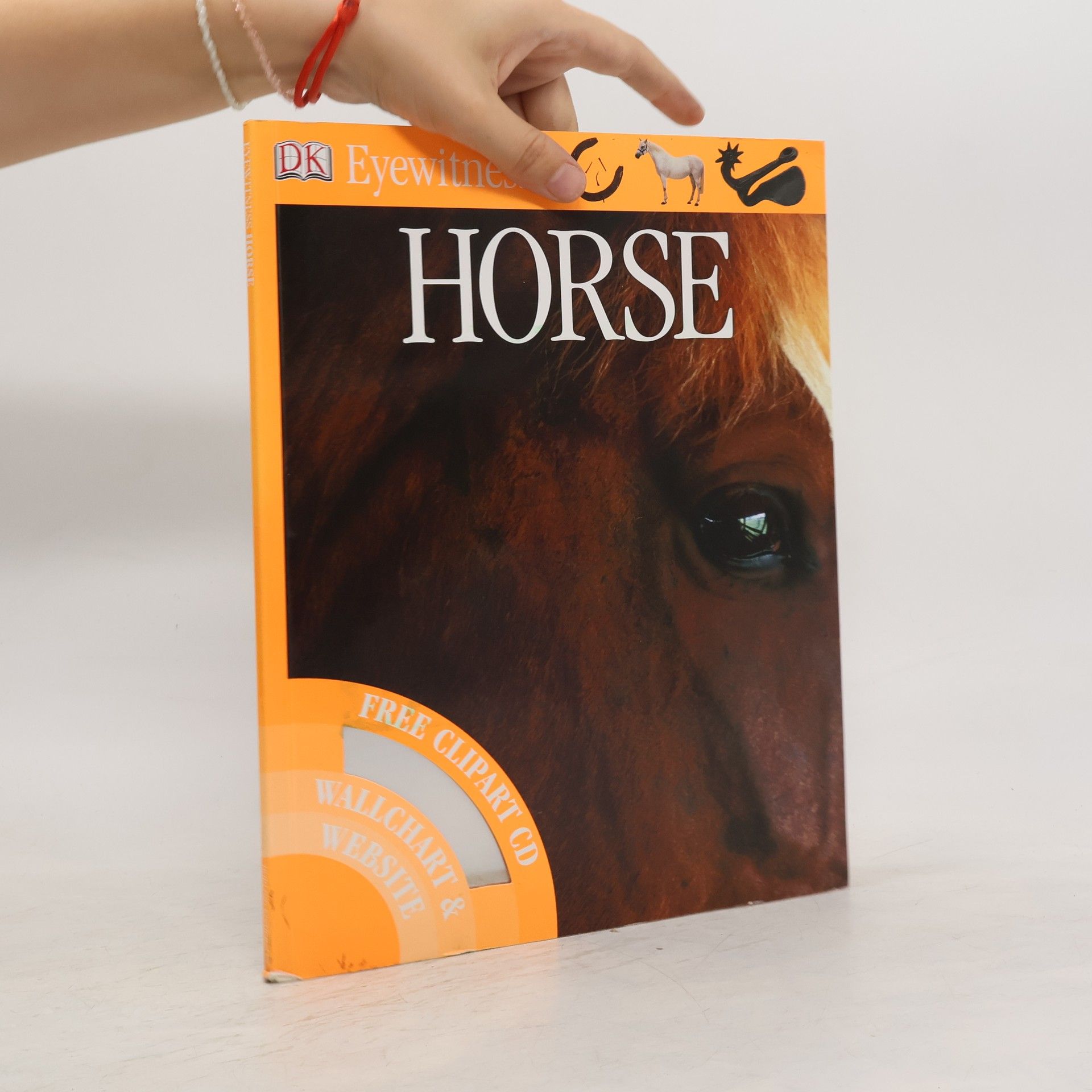 kolektiv Horse