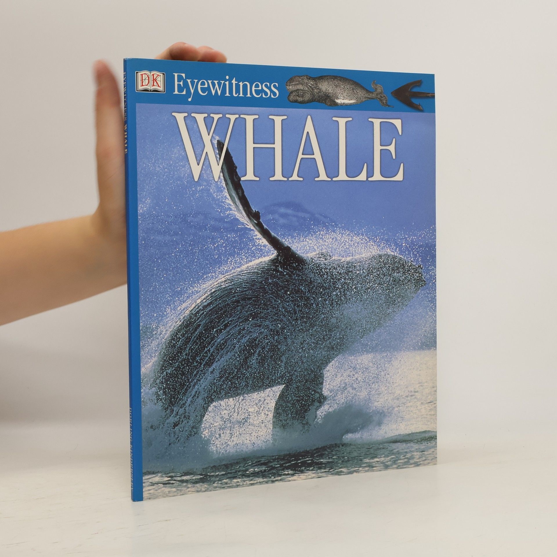 Autores varios Whale
