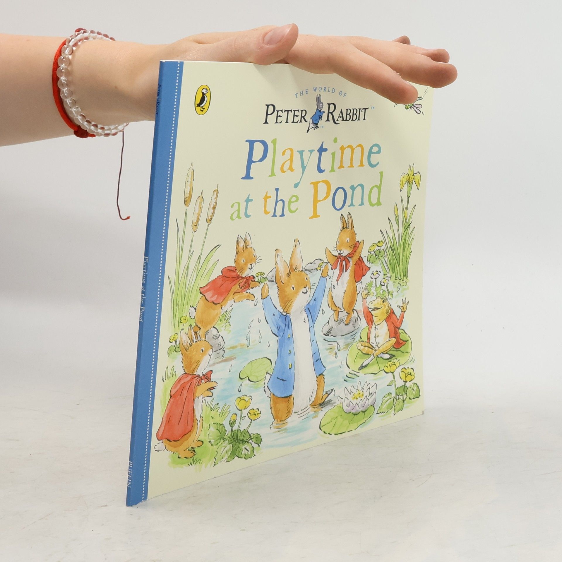 Autores varios Playtime at the Pond