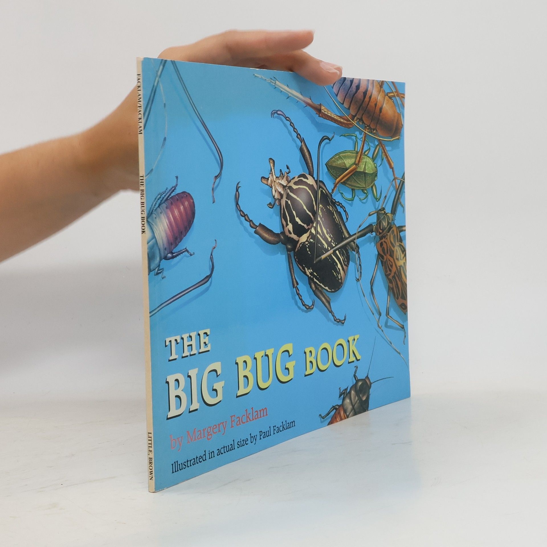 Margery Facklam The Big Bug Book
