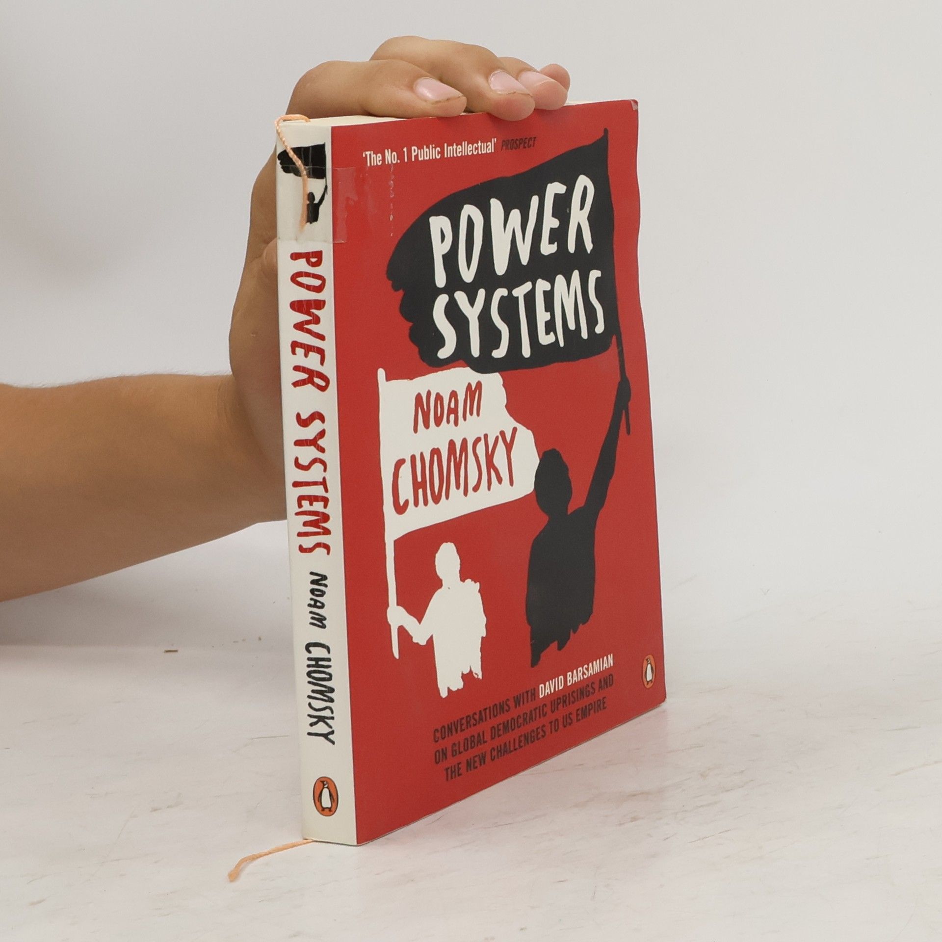 Noam Chomsky Power Systems