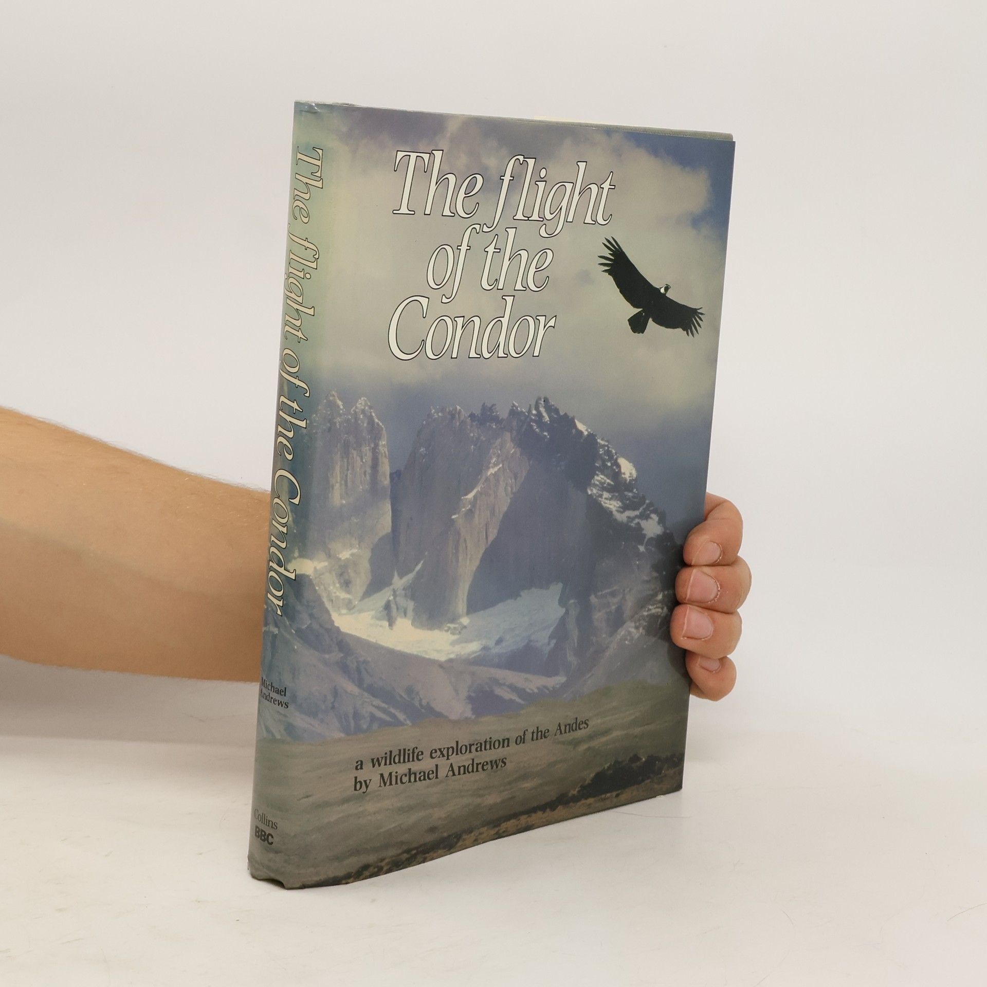 Michael Andrews The Flight of the Condor