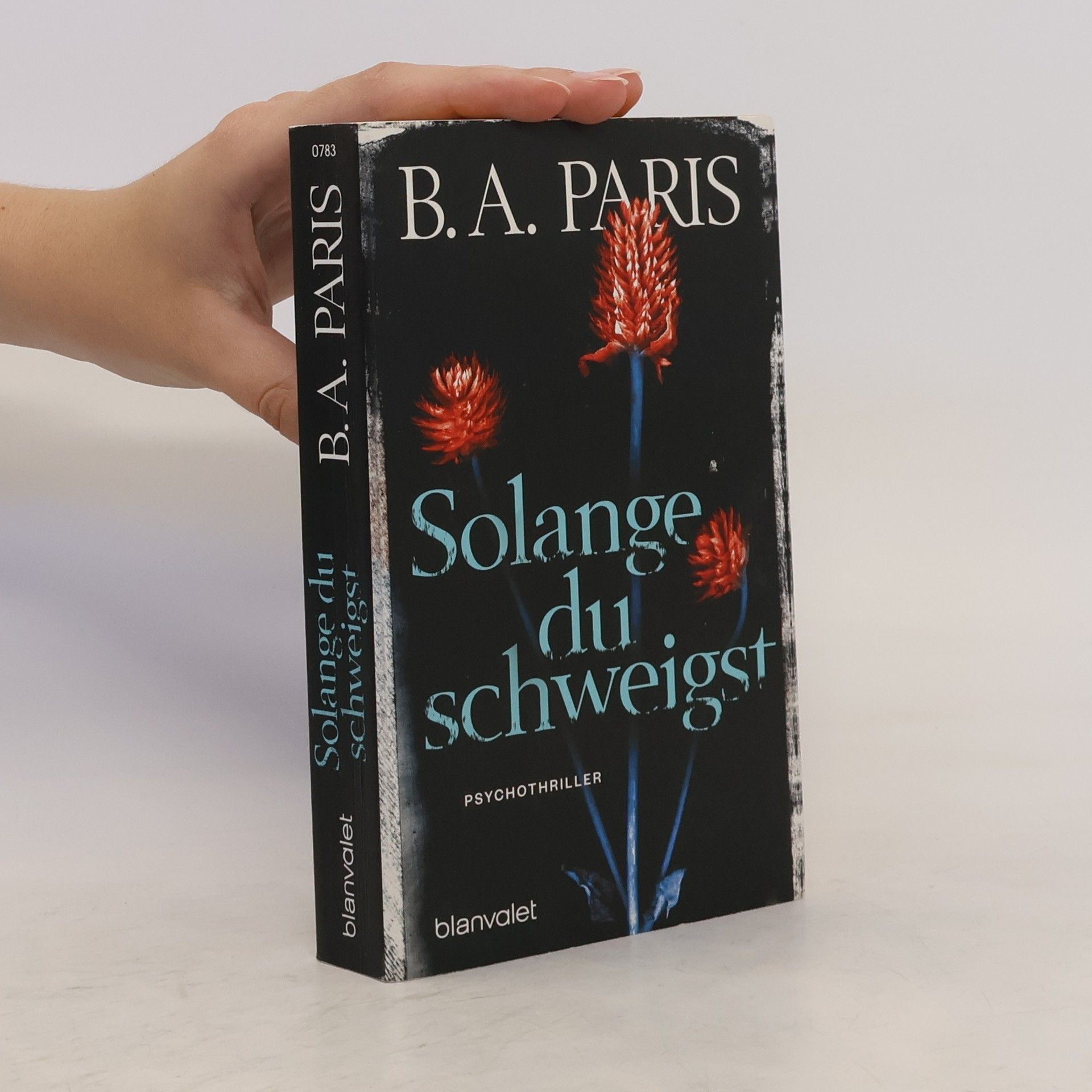 B.A. Paris Solange du schweigst