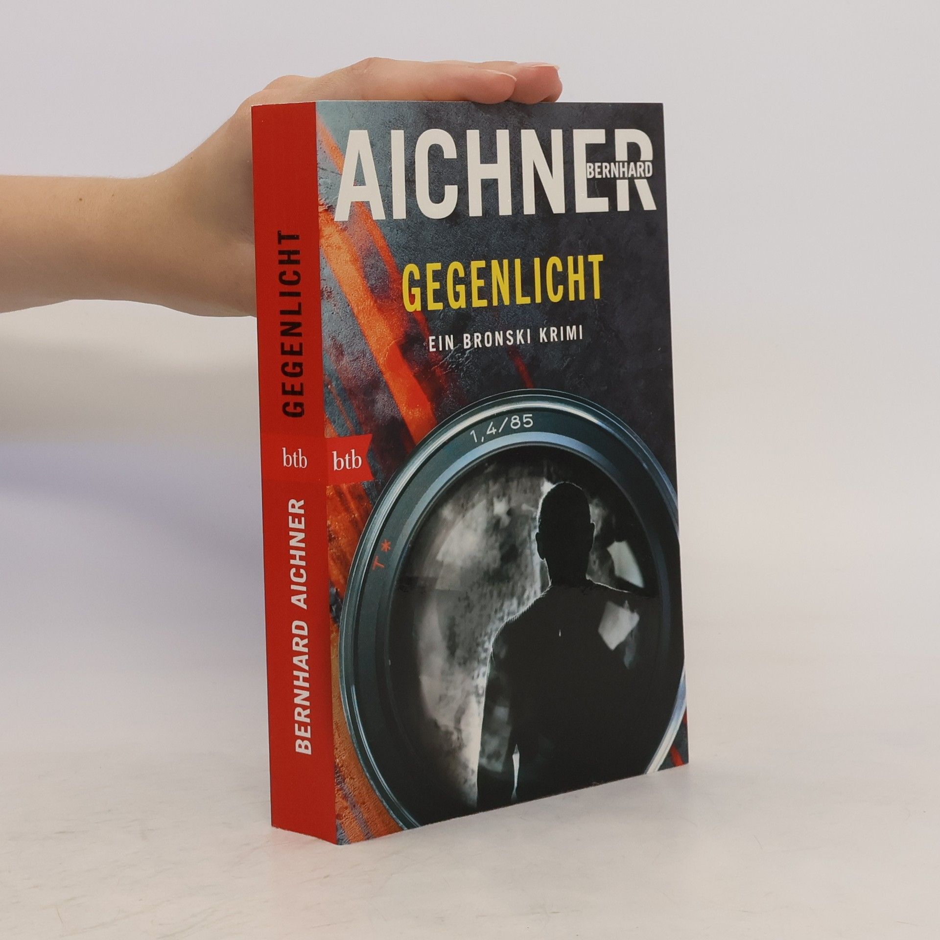 Bernhard Aichner Gegenlicht