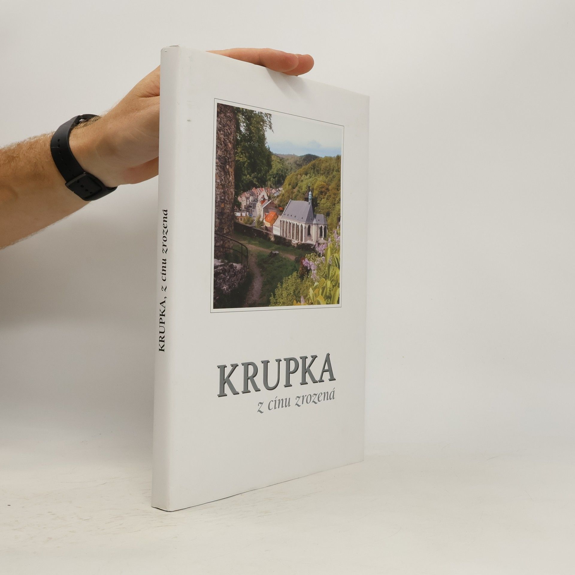 Autores varios Krupka, z cínu zrozená