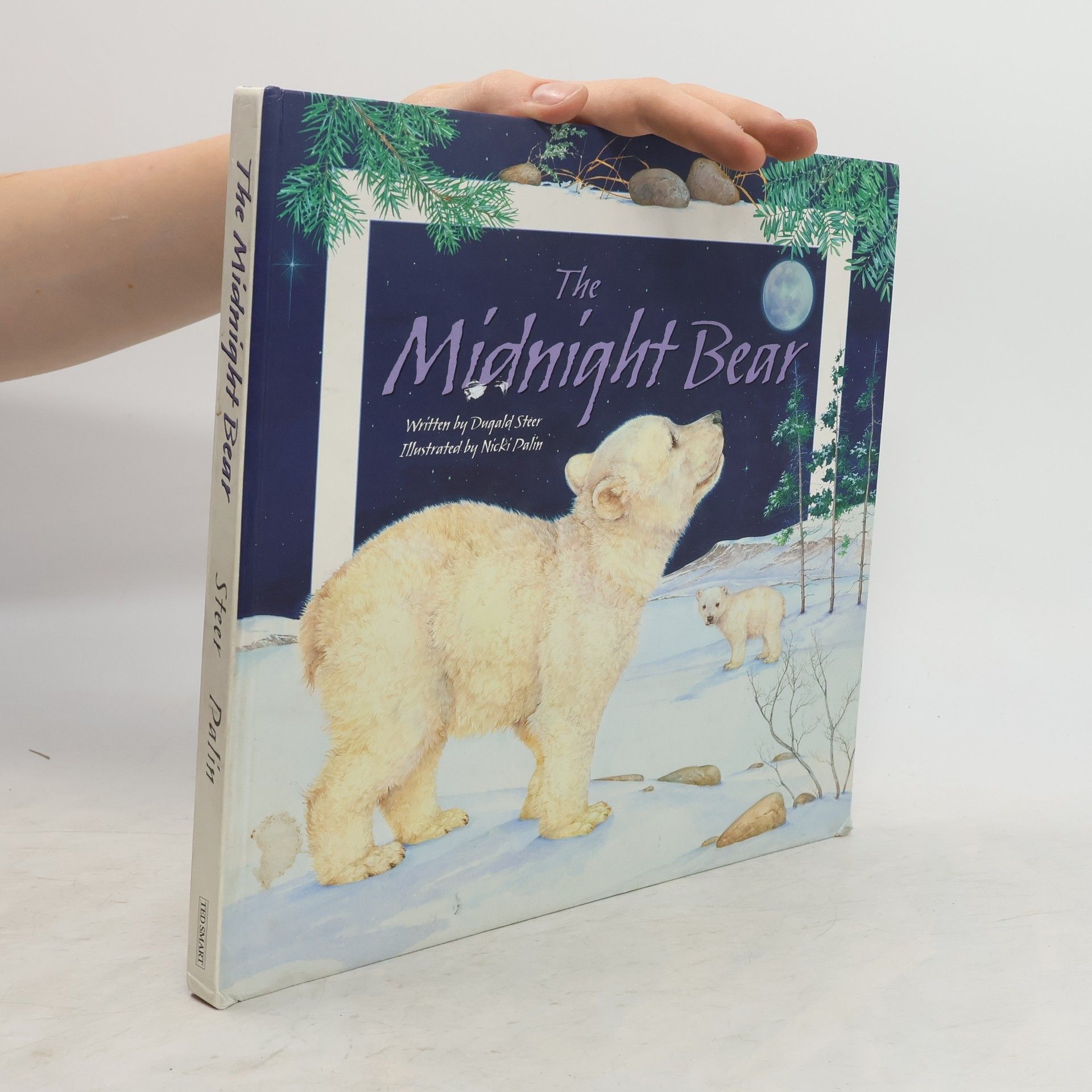 Dugald A. Steer The Midnight Bear