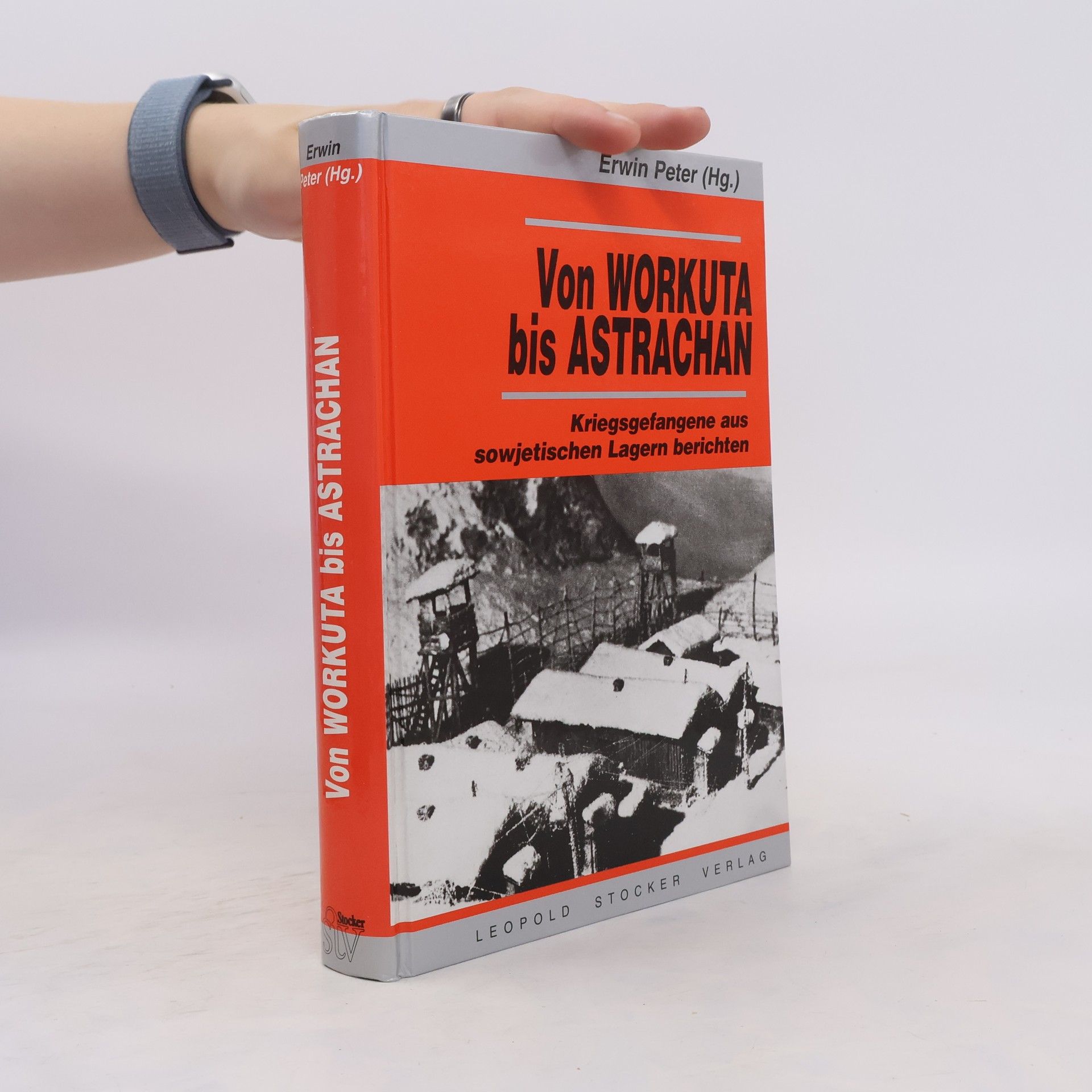 Erwin Peter Tragödien in Eis und Schnee