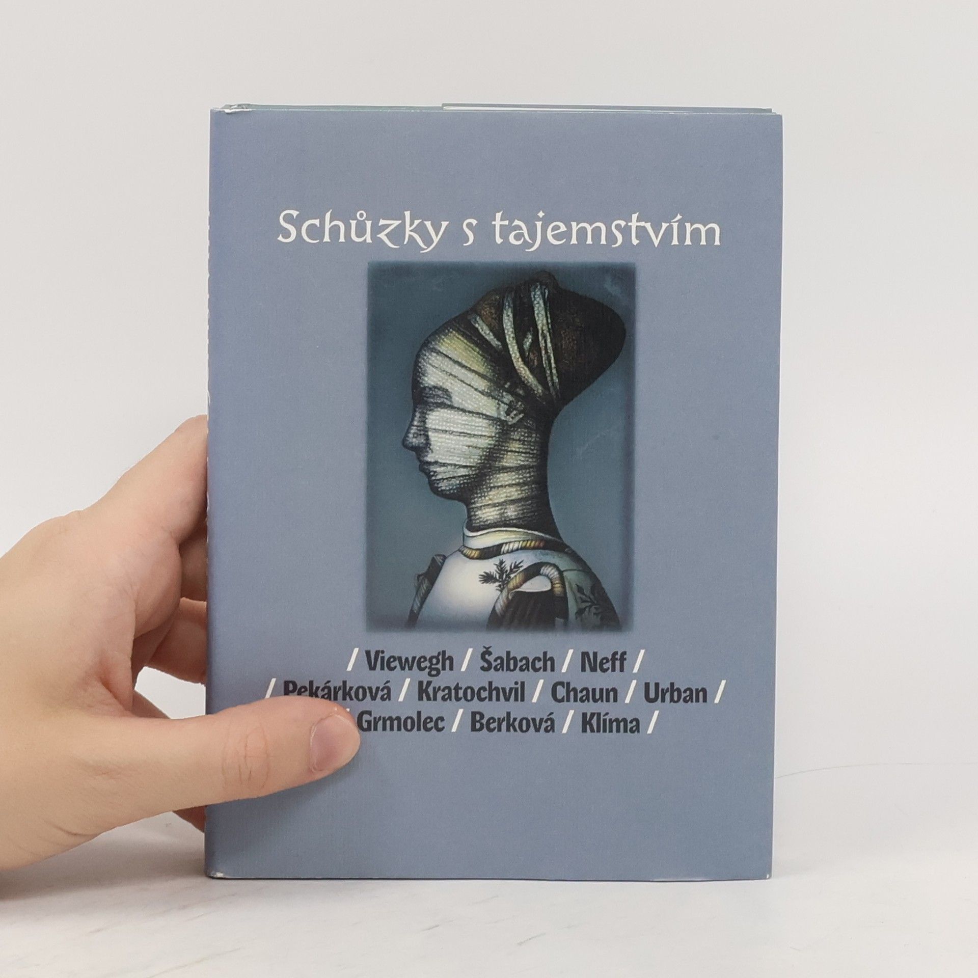 Michal Viewegh Schůzky s tajemstvím