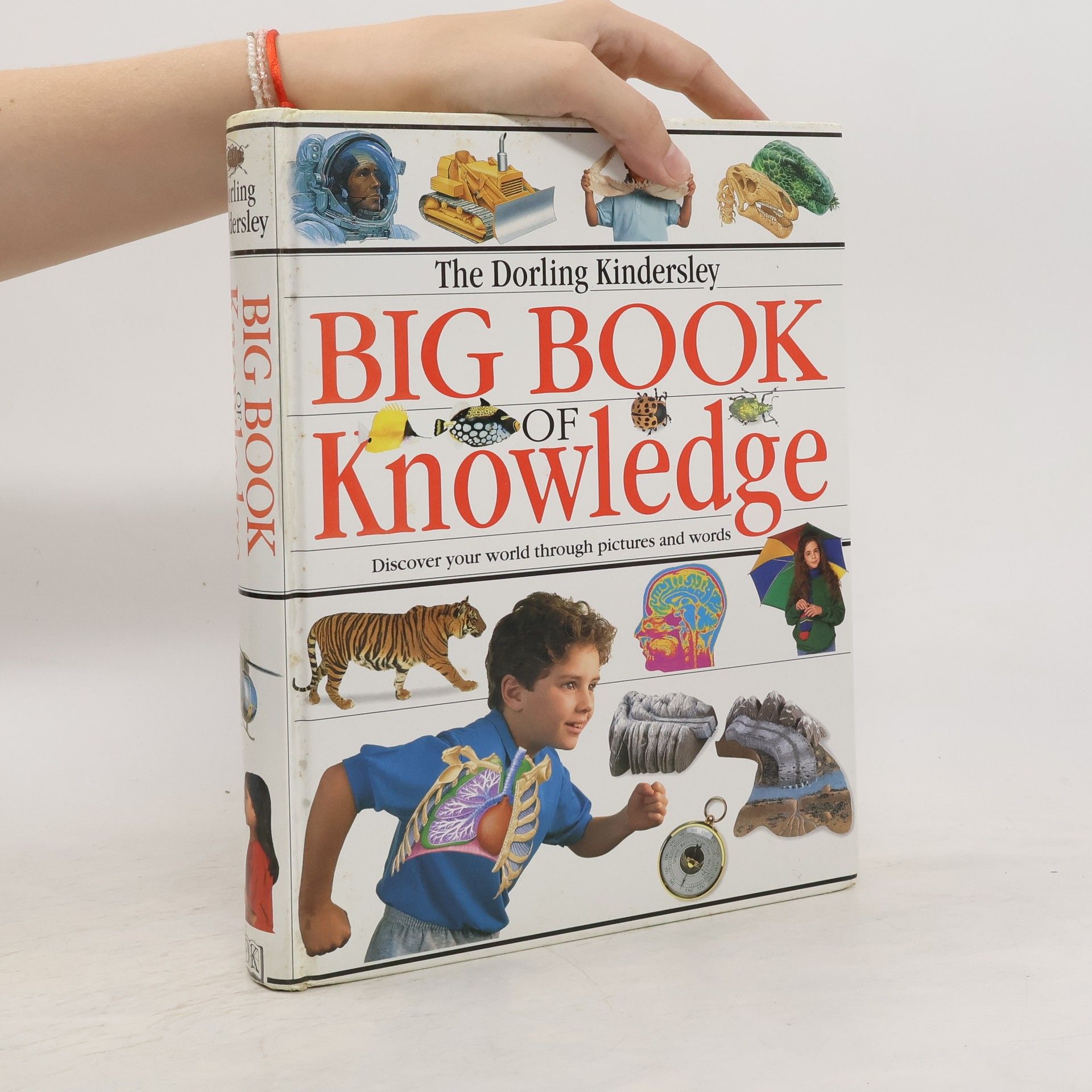 Sarah Phillips The Dorling Kindersley Big Book of Knowledge