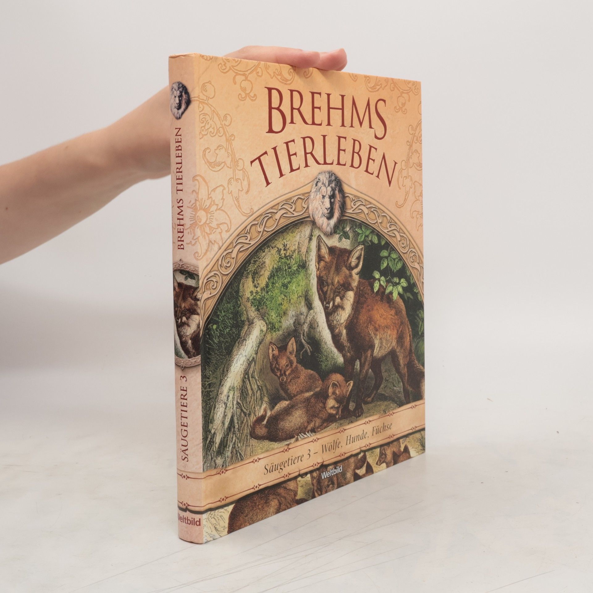 Alfred Edmund Brehm Brehms Tierleben. Säugetiere 3