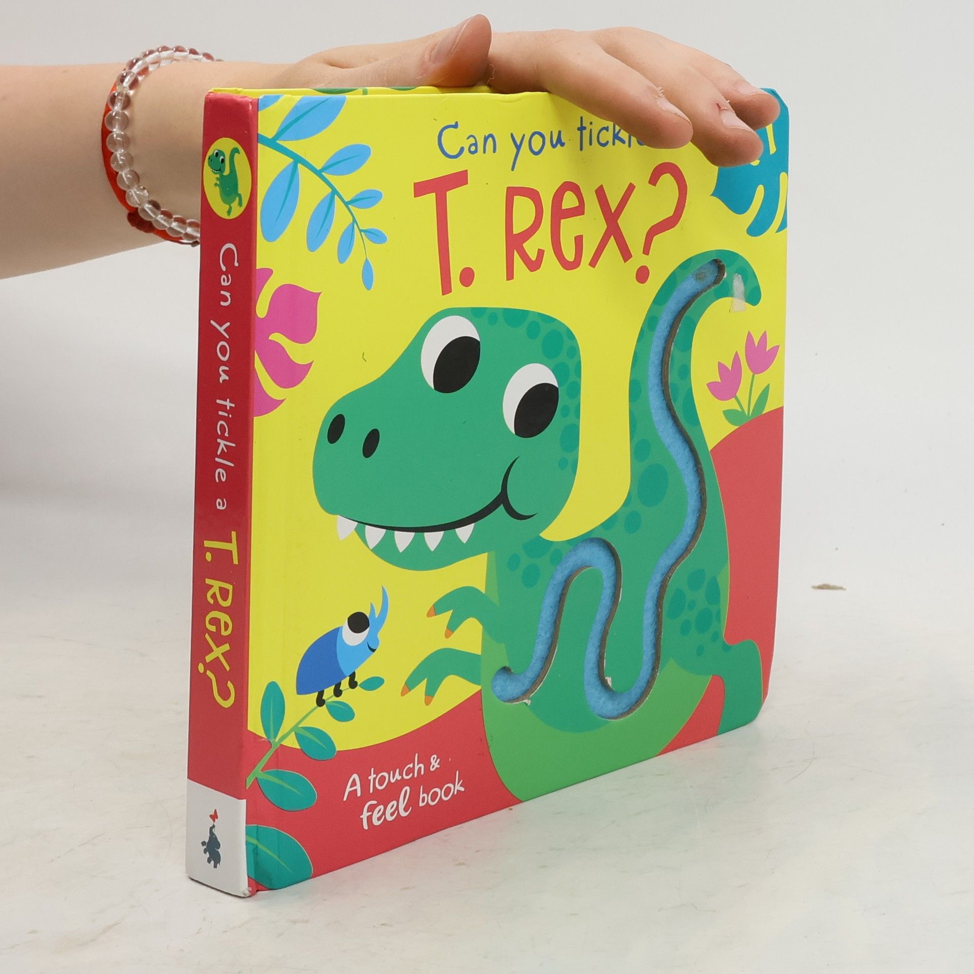 Bobbie Brooks Can You Tickle a T. Rex?