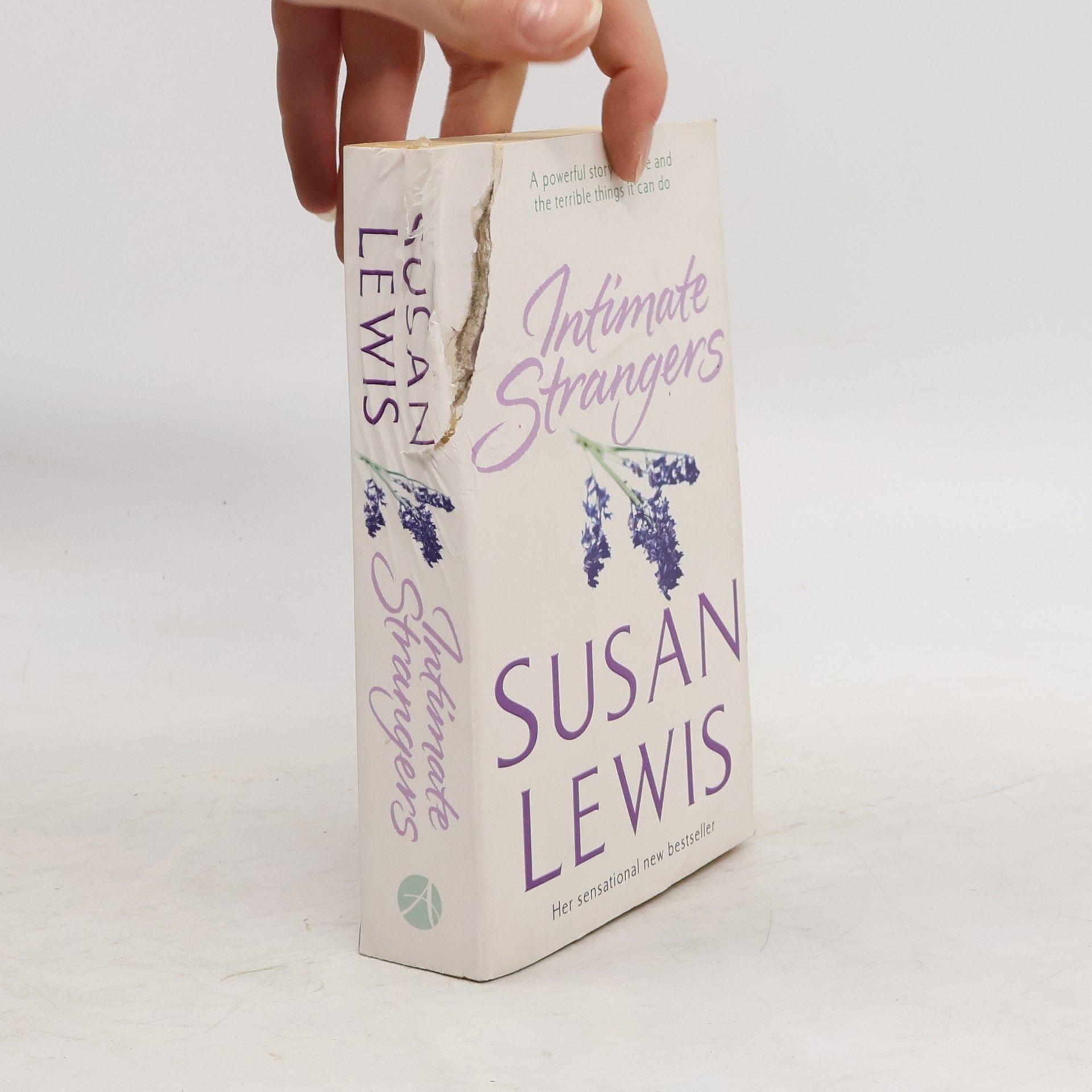Susan Lewis Intimate Strangers