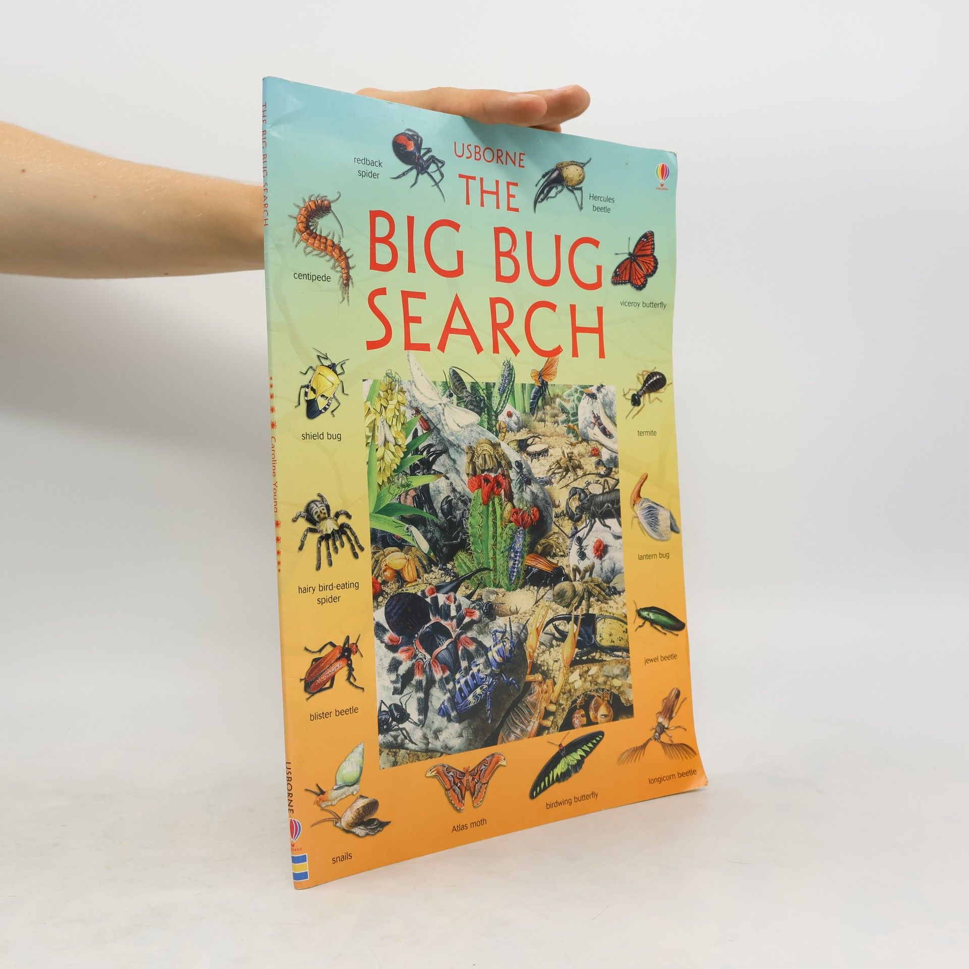 Caroline Young The Big Bug Search