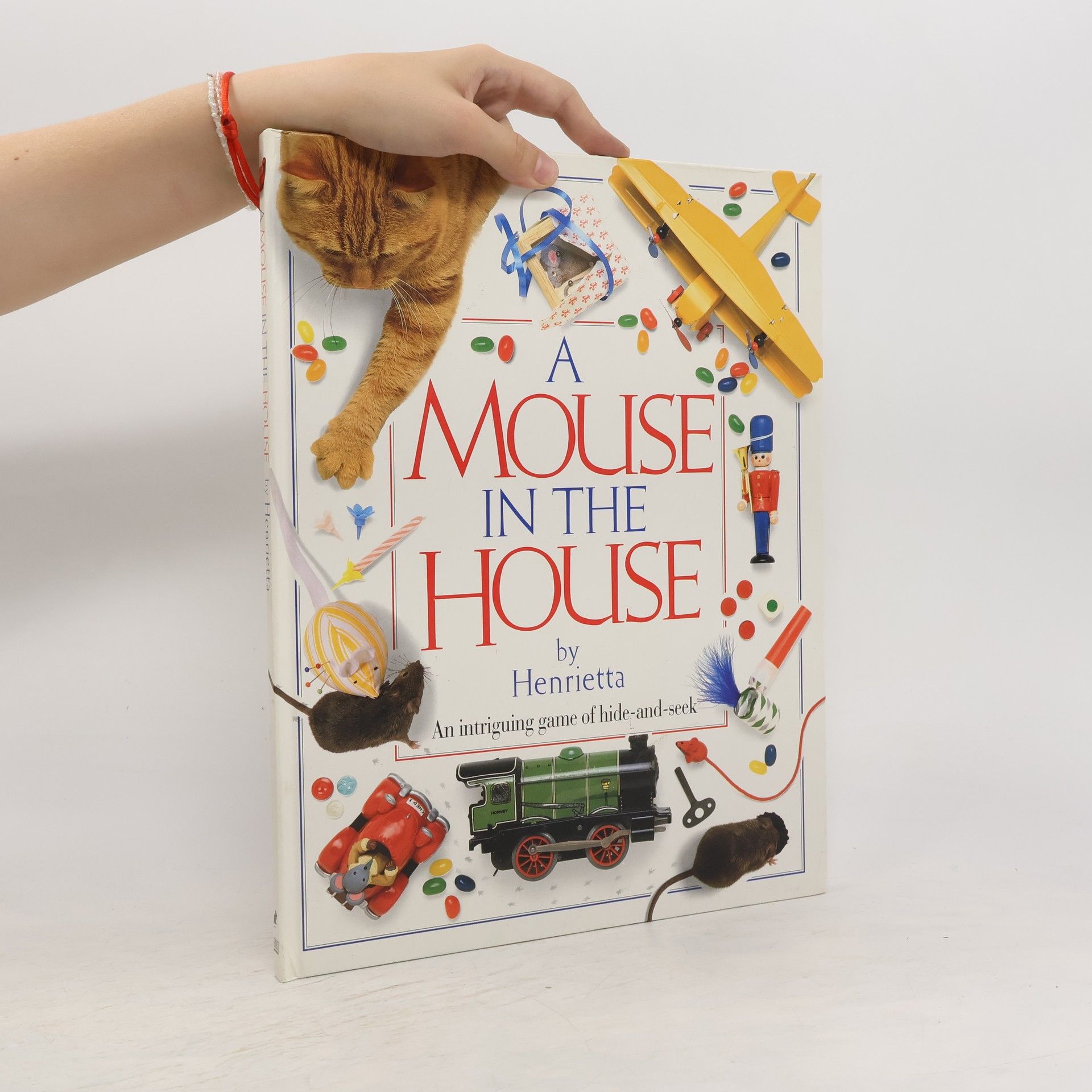 Henrietta A Mouse in the House