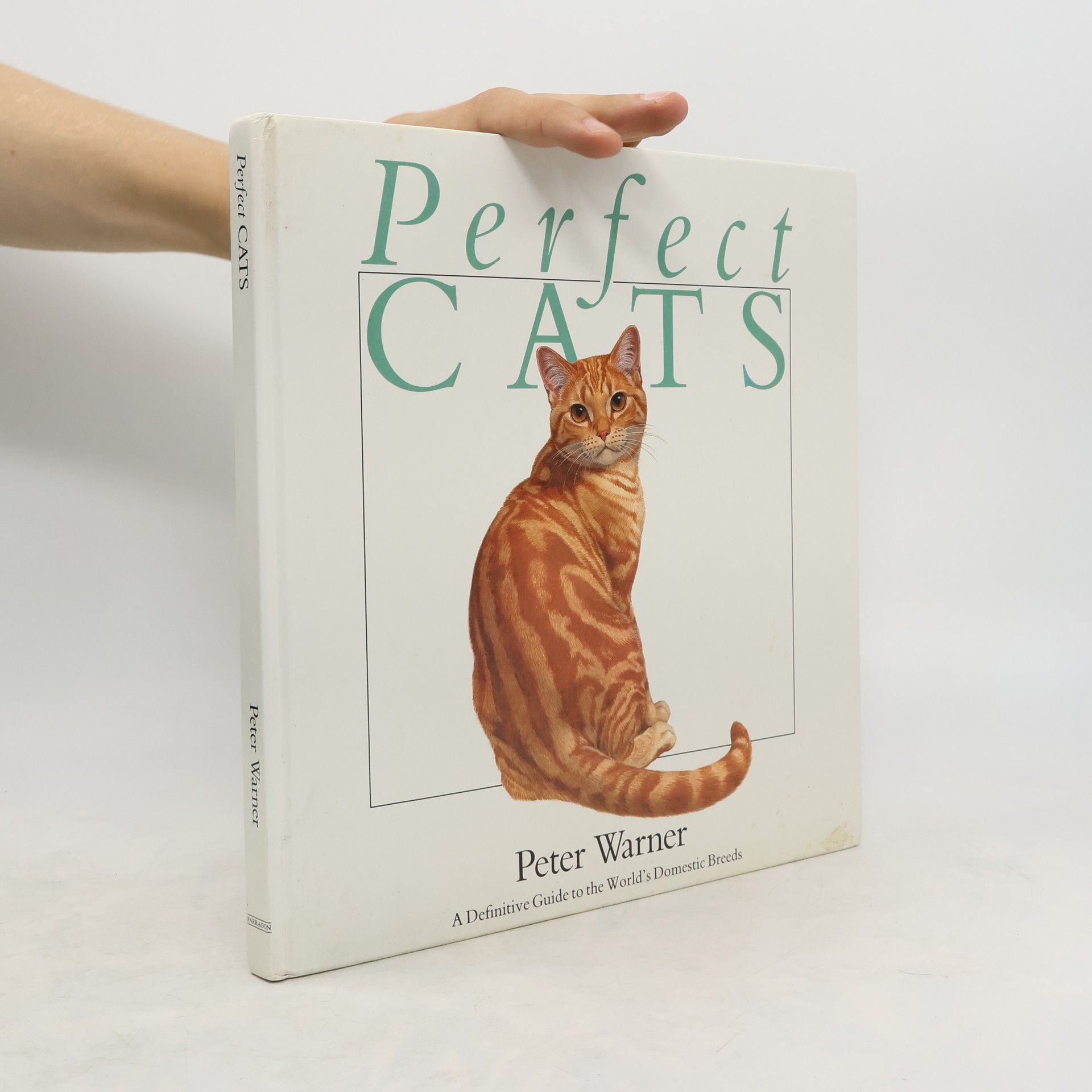 Peter Warner Prefect Cats