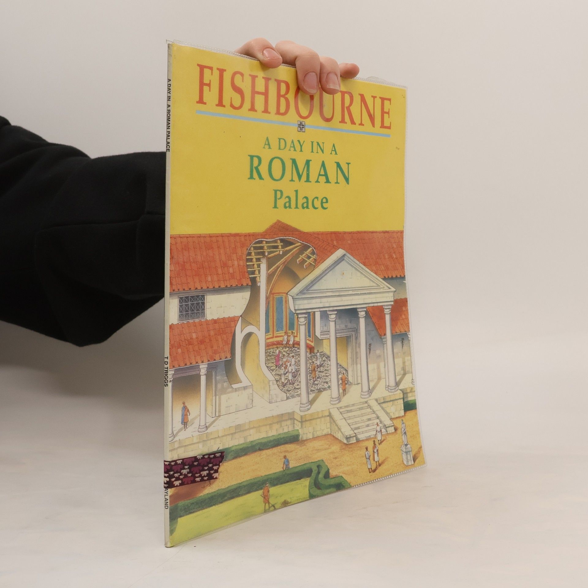 Tony D. Triggs Fishbourne