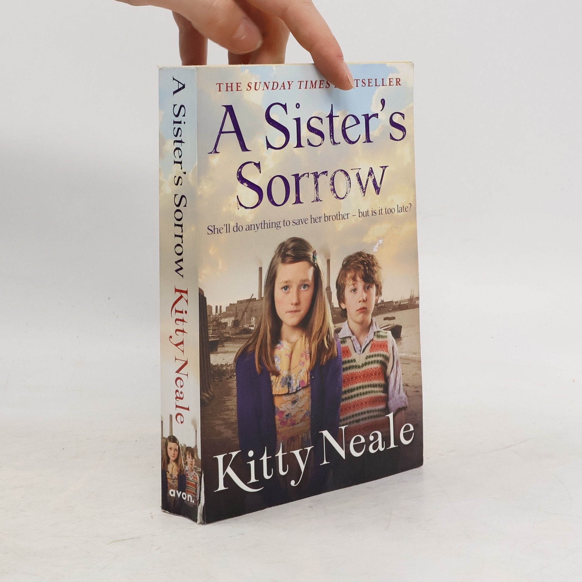 Kitty Neale A Sister's Sorrow