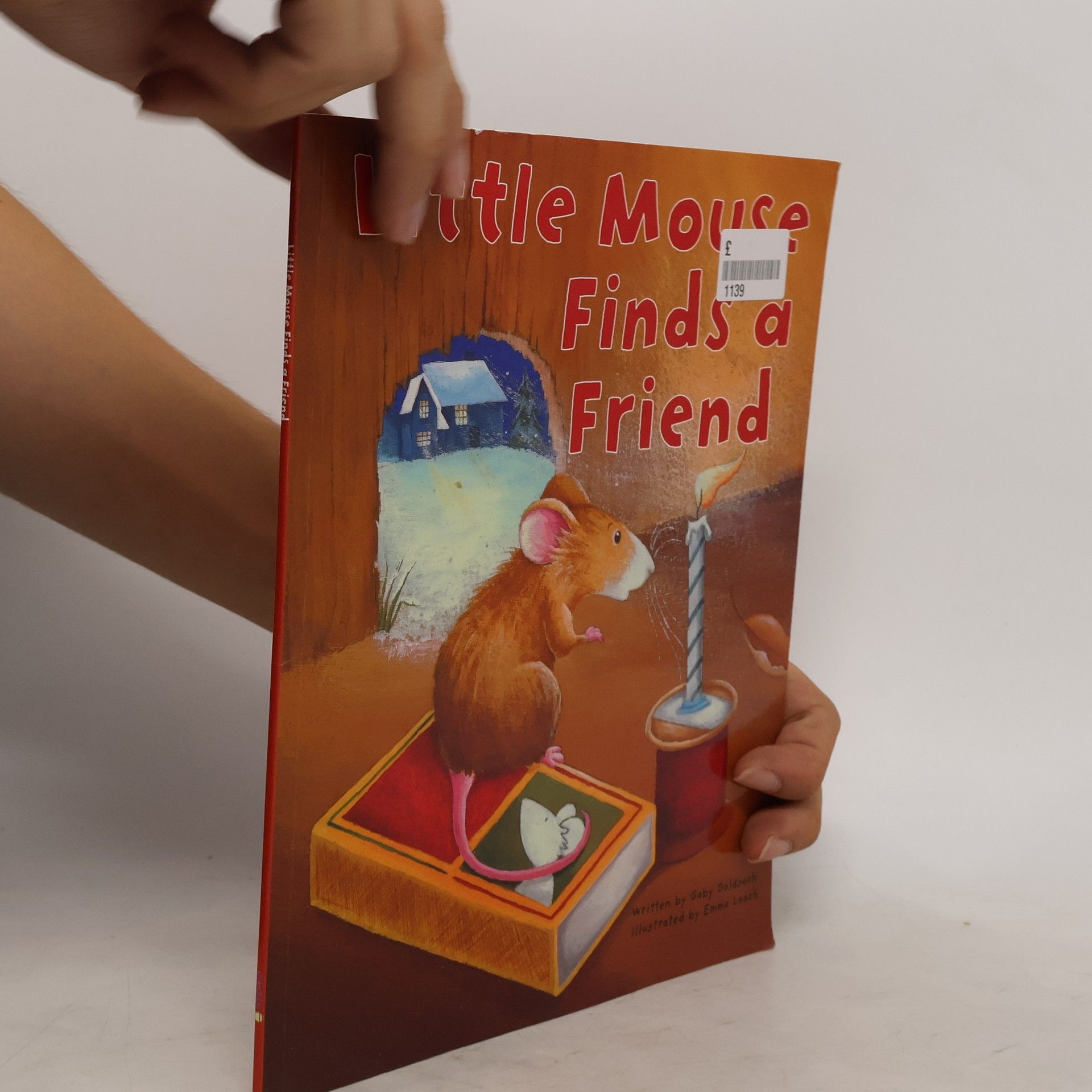 Collectif d'auteurs Little Mouse Finds A Friend