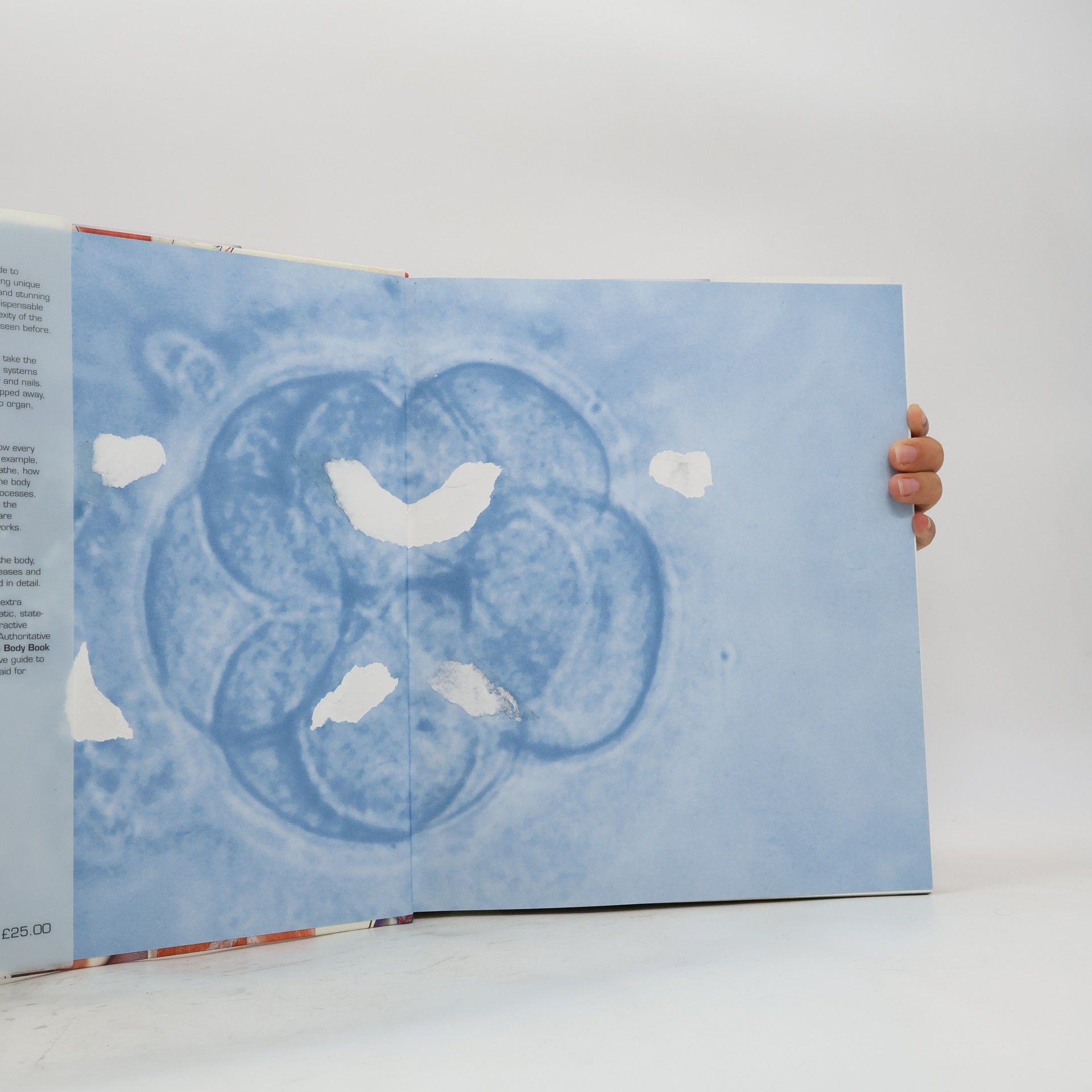 Autores varios The Human Body Book