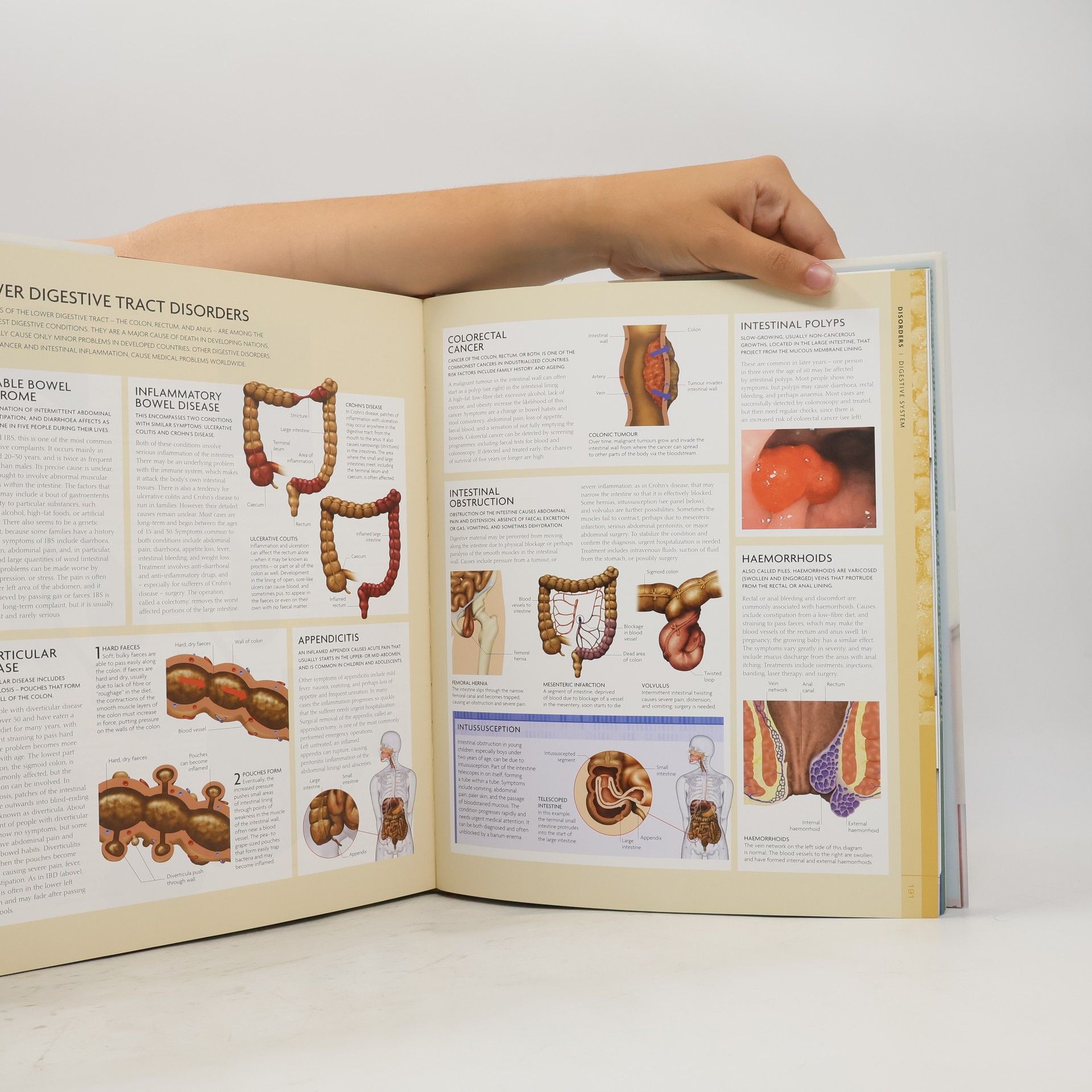Autores varios The Human Body Book