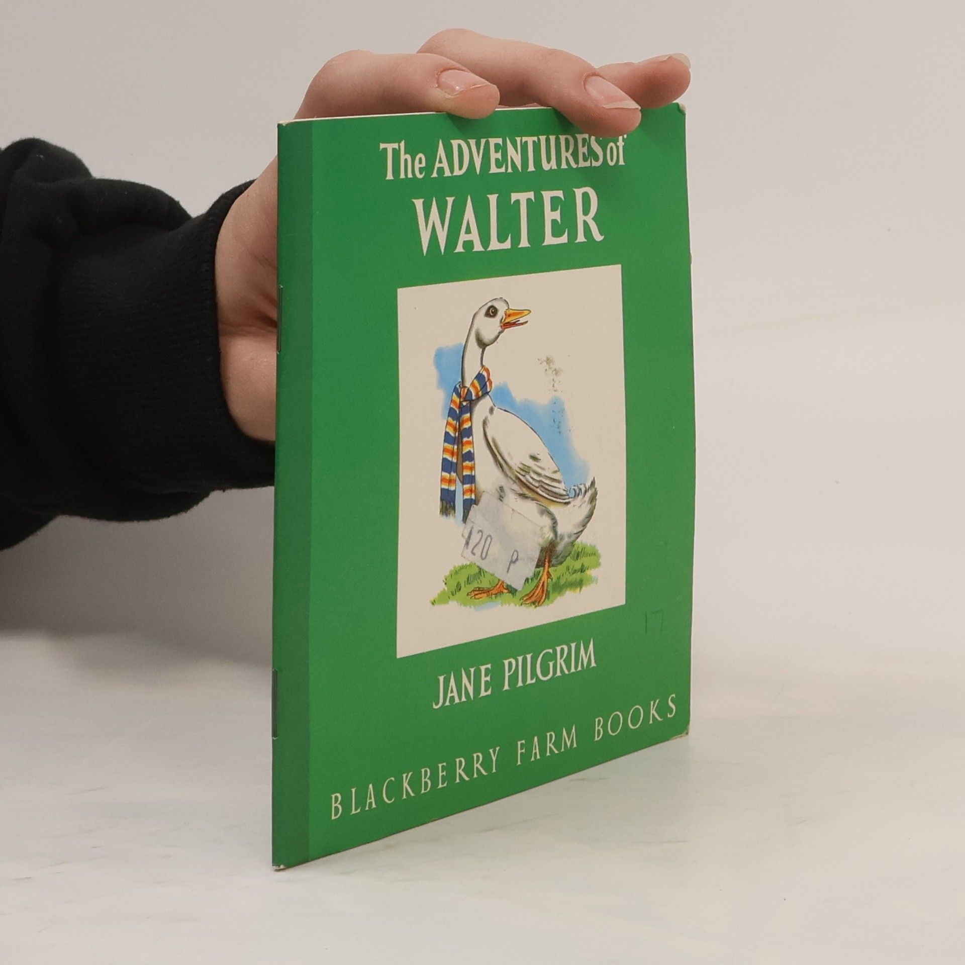 Jane Pilgrim The Adventures of Walter
