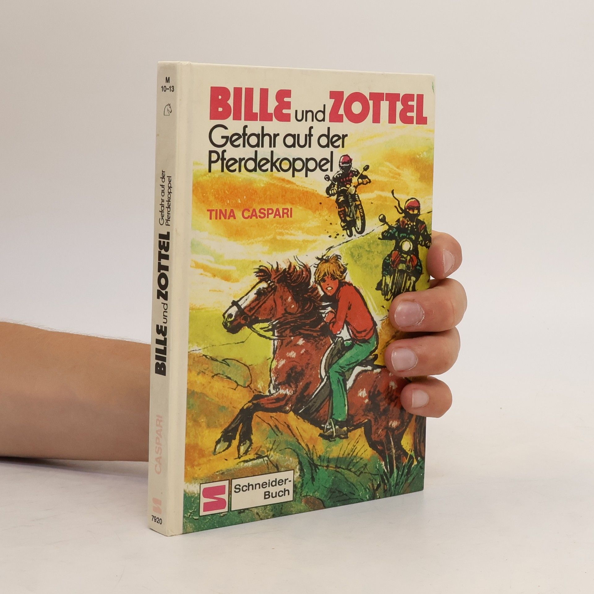 Tina Caspari Bille und Zottel Bd. 06. Gefahr auf der Pferdekoppel