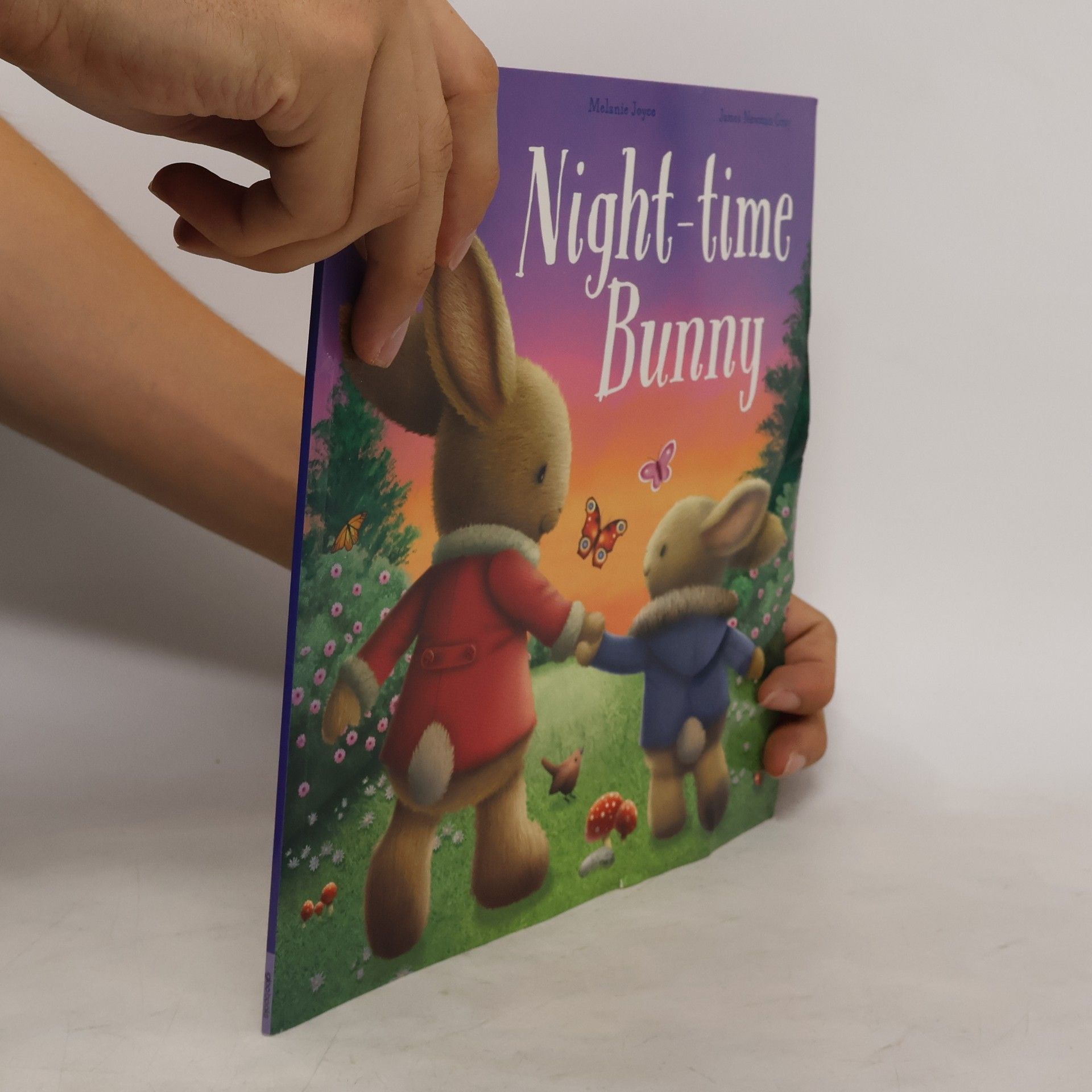 Melanie Joyce Night - Time Bunny