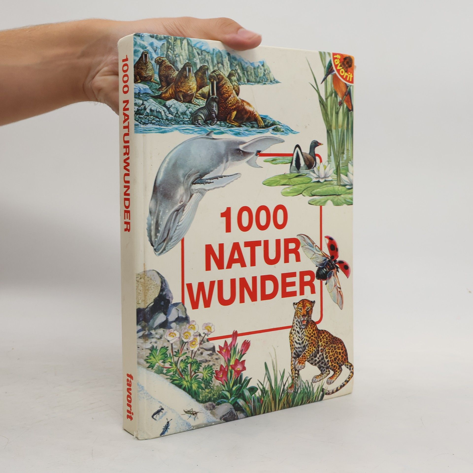 Laura Casnici 1000 Naturwunder