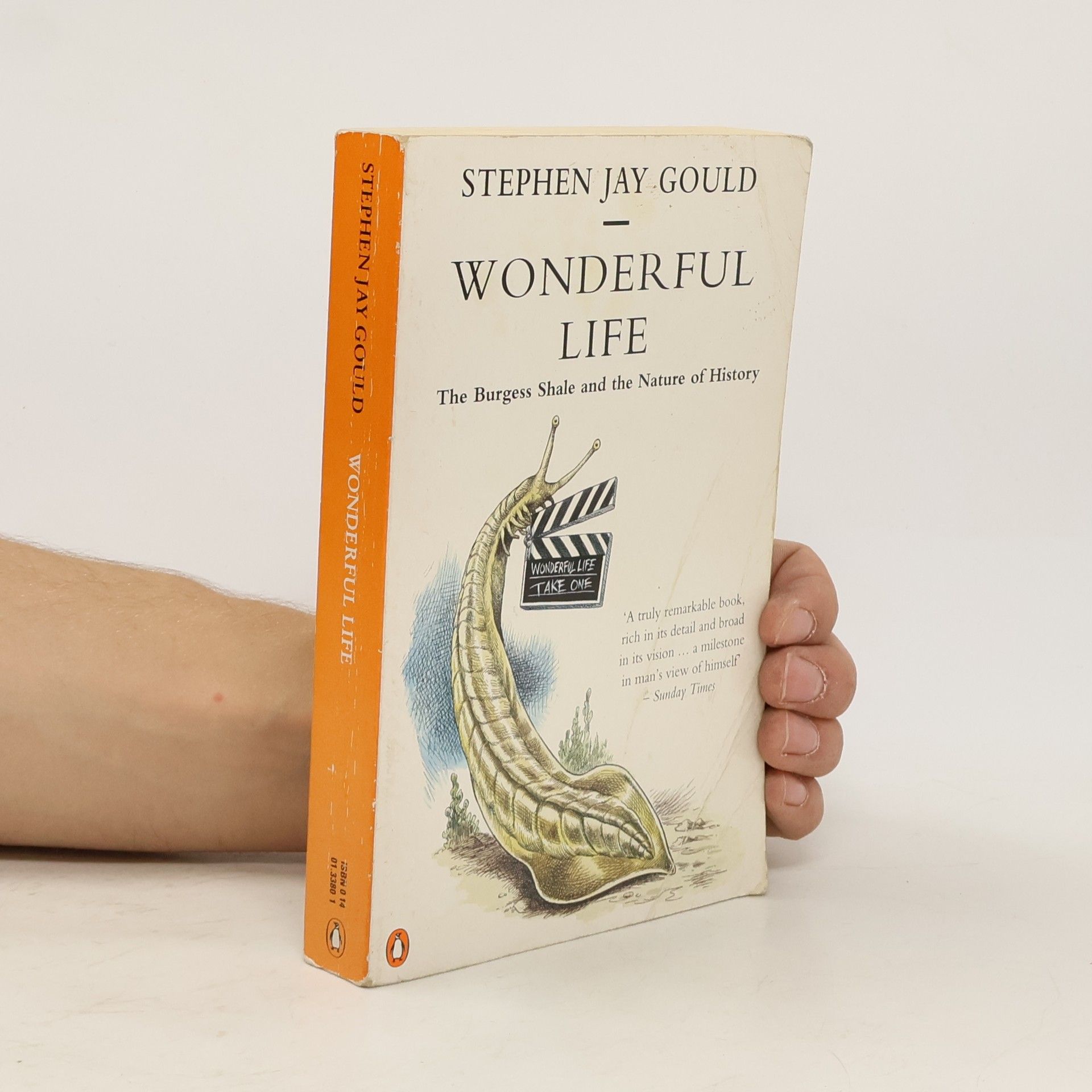 Gould Stephen Jay Wonderful Life