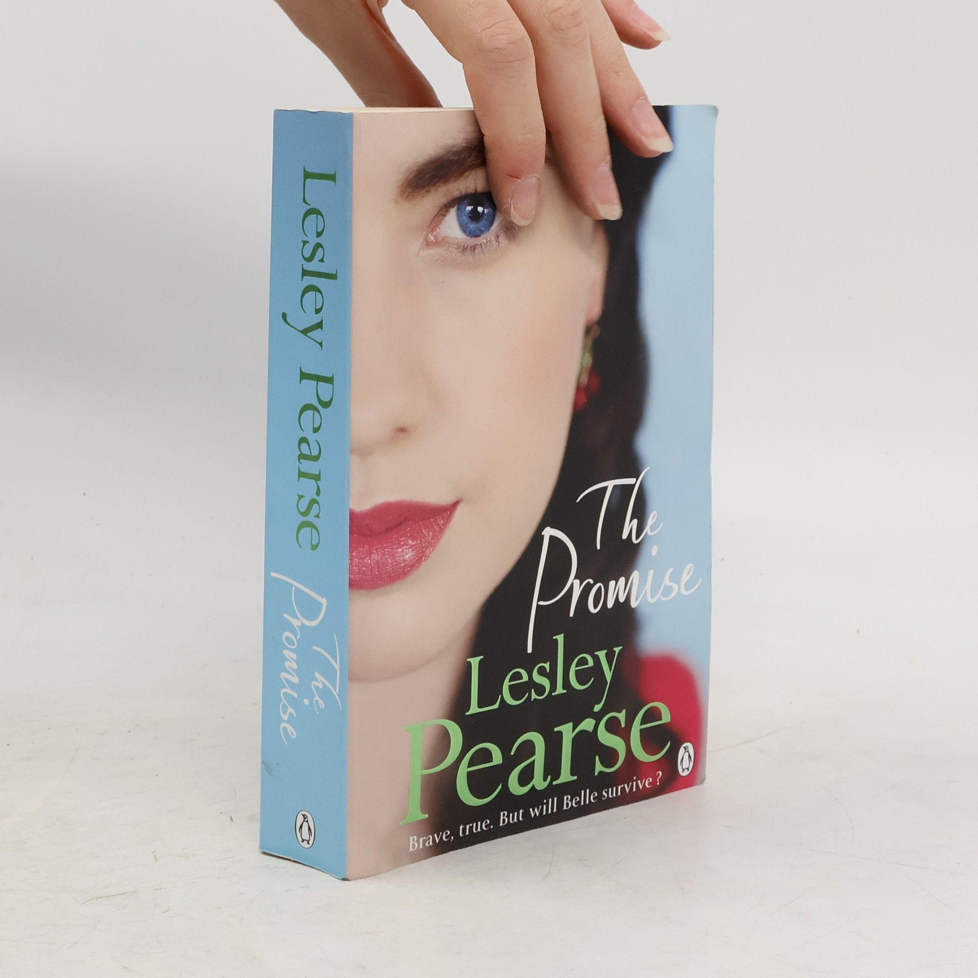 Lesley Pearse The Promise