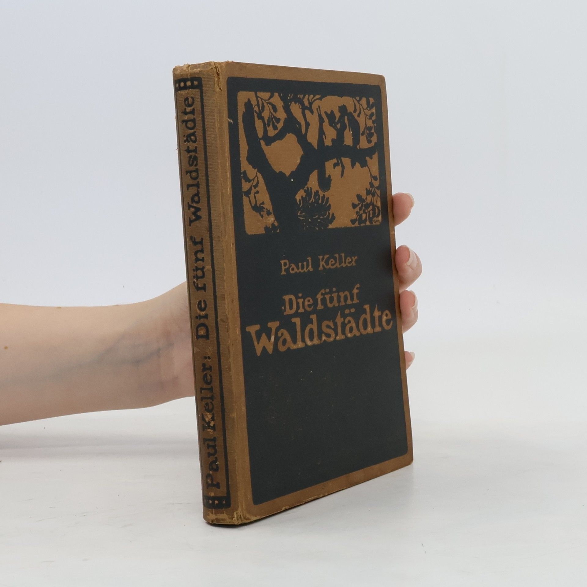 Paul Keller Die fünf Waldstädte