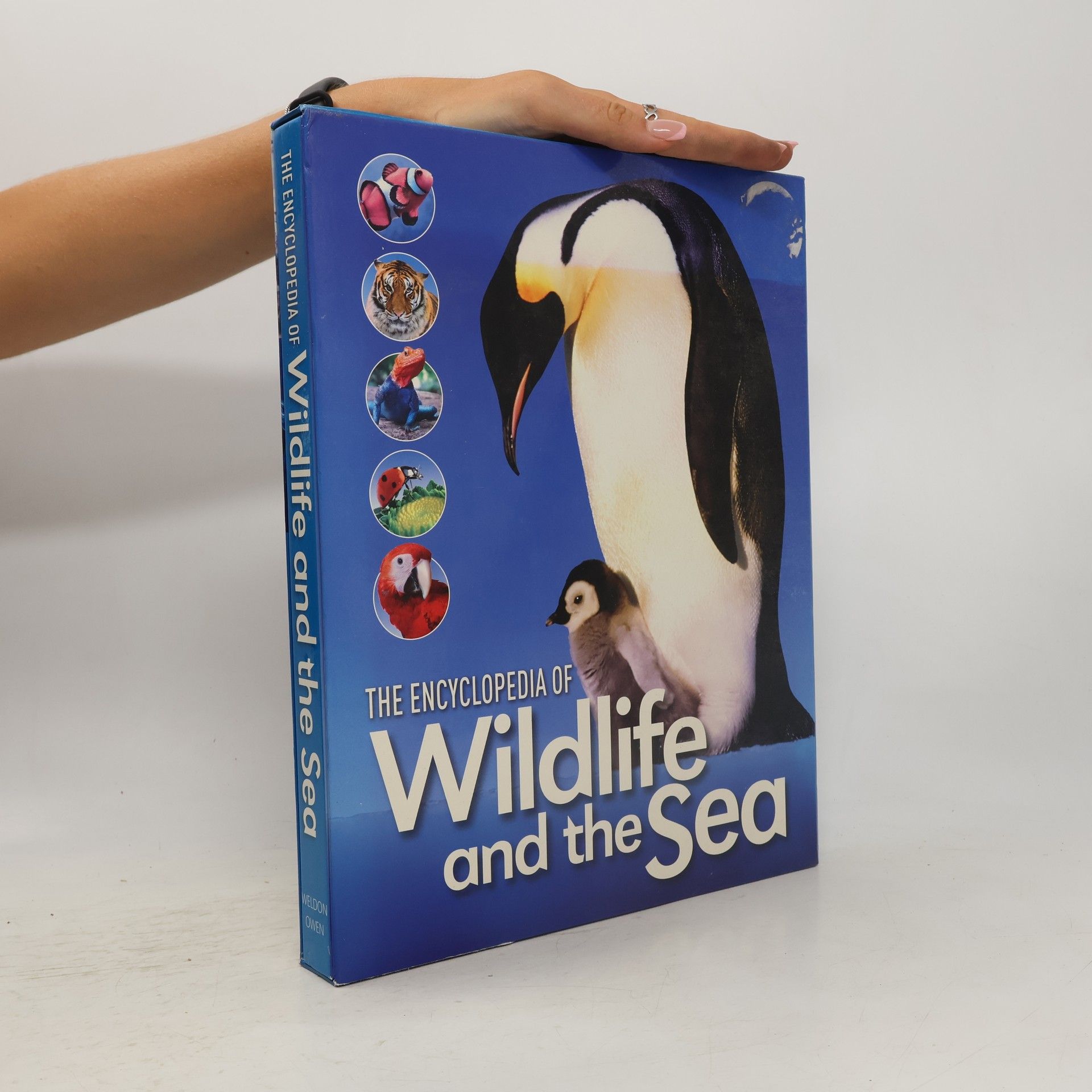 Autorenkollektiv The Encyclopedia of Wildlife and the Sea