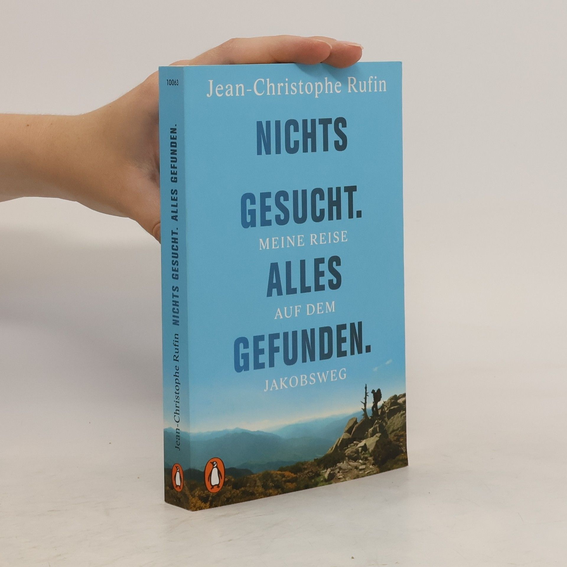 Jean Christophe Rufin Nichts gesucht. Alles gefunden.