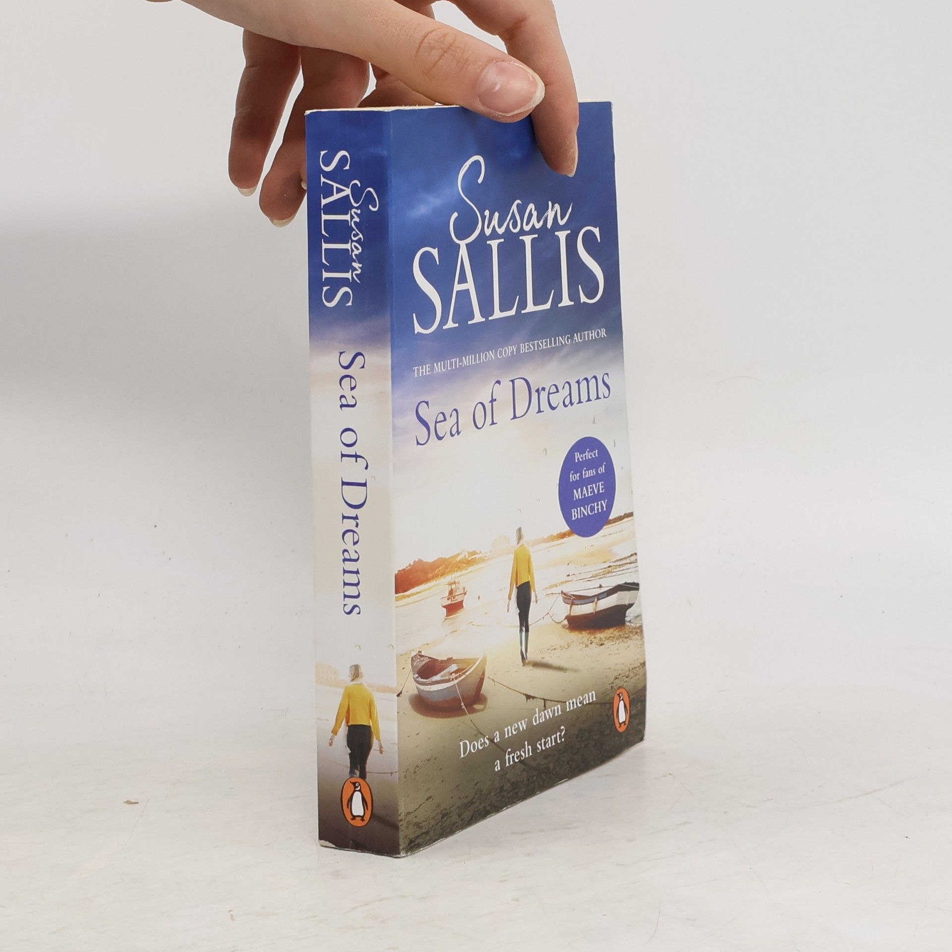 Susan Sallis Sea Of Dreams