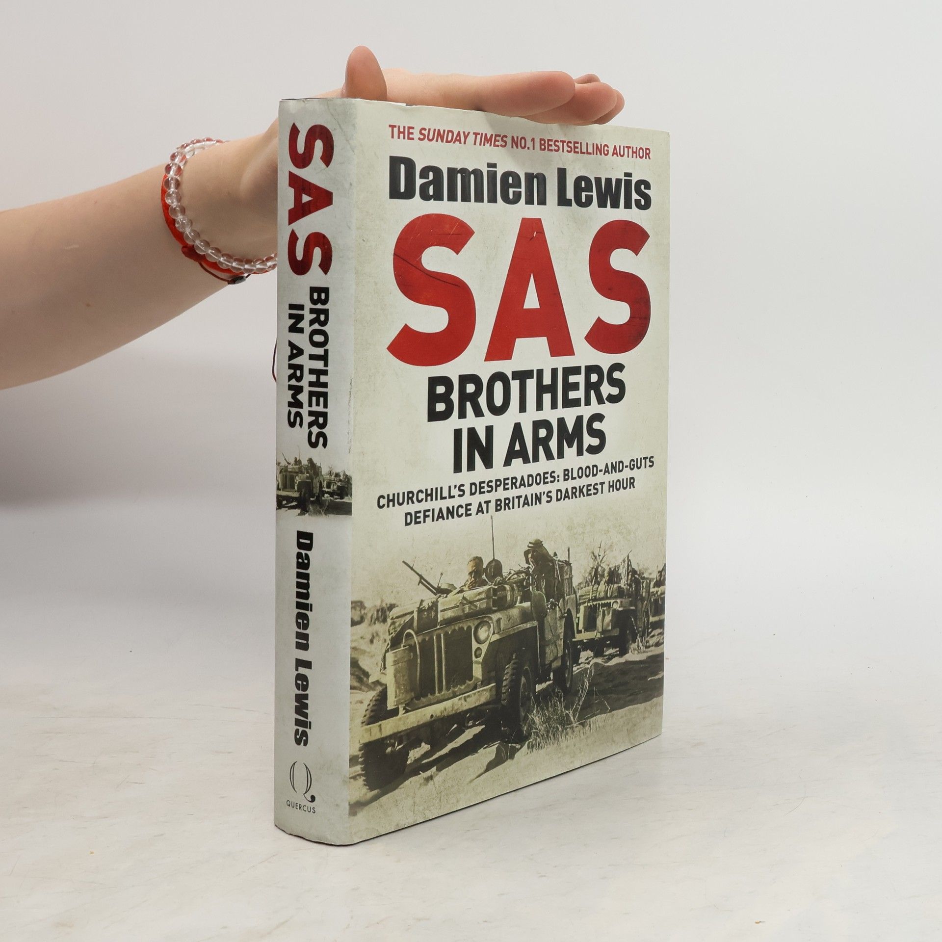 Damien Lewis SAS Brothers in Arms