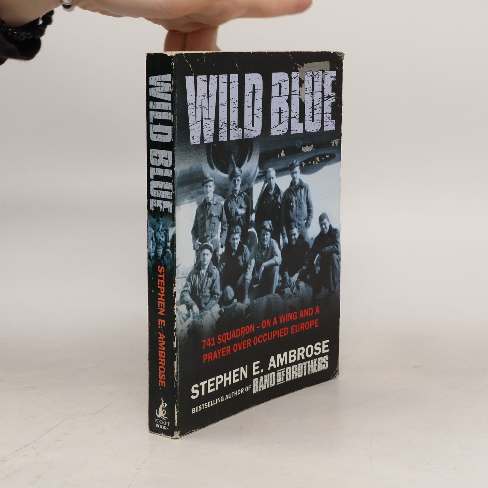 Stephen E Ambrose Wild Blue