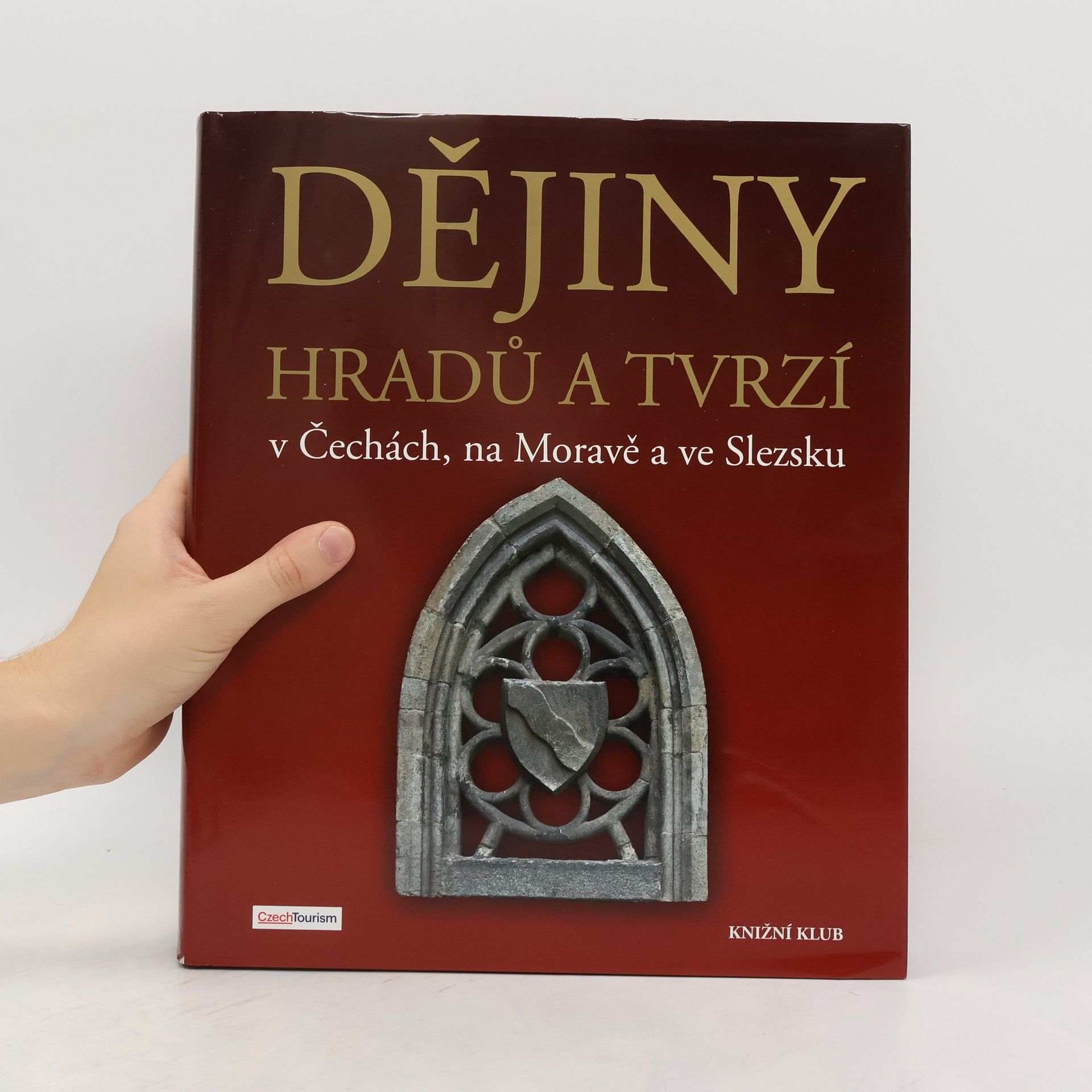 Kolektiv autorů Dějiny hradů a tvrzí v Čechách, na Moravě a ve Slezsku