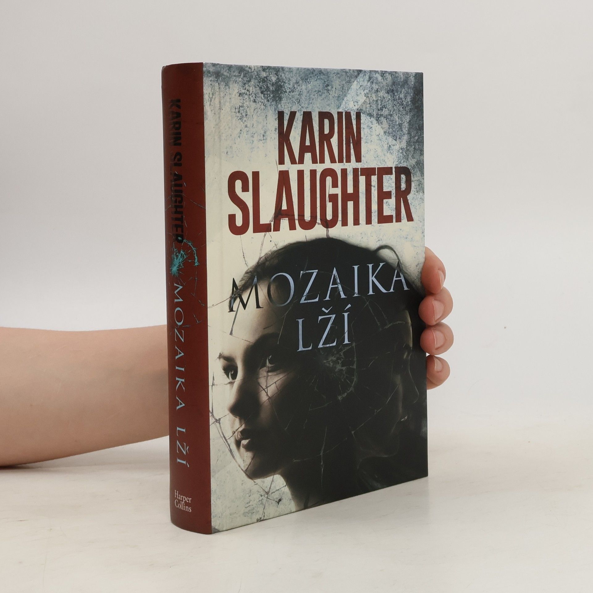 Karin Slaughter Mozaika lží