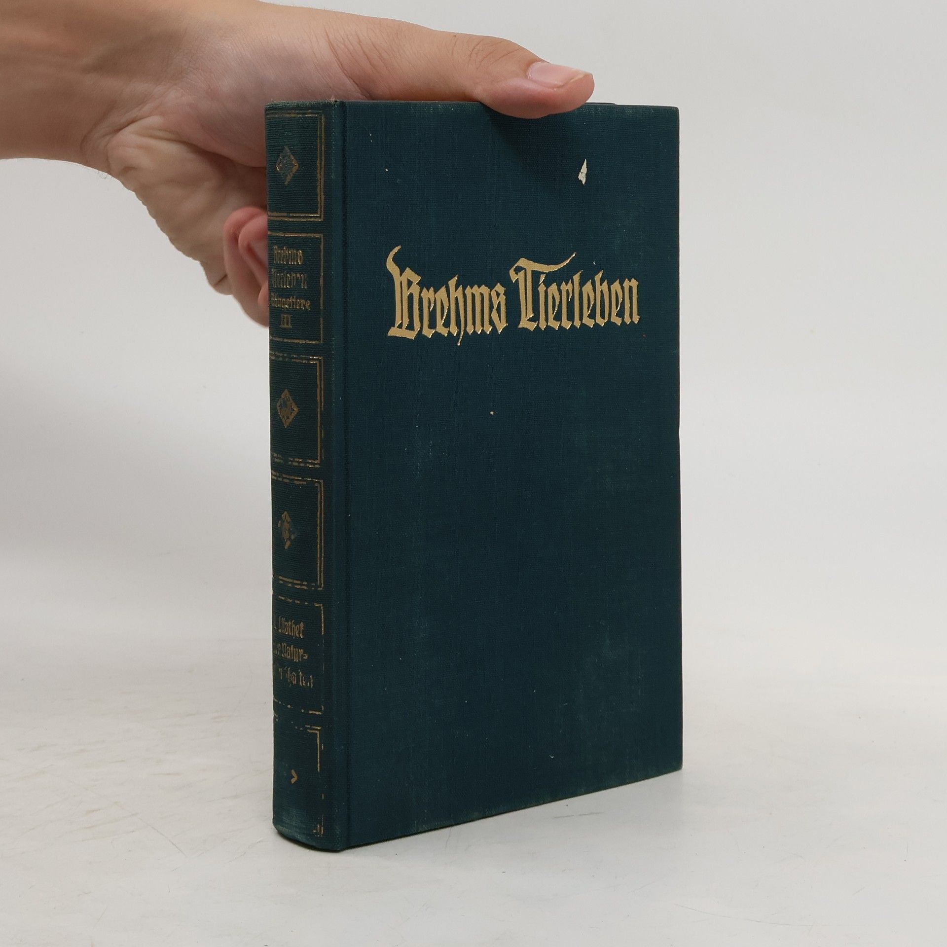Adolf Meyer Brehms Tierleben. Band 5