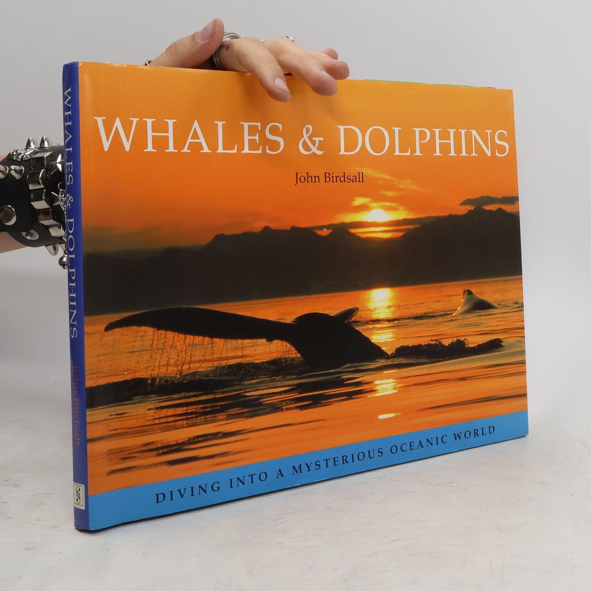 John Birdsall Whales & Dolphins