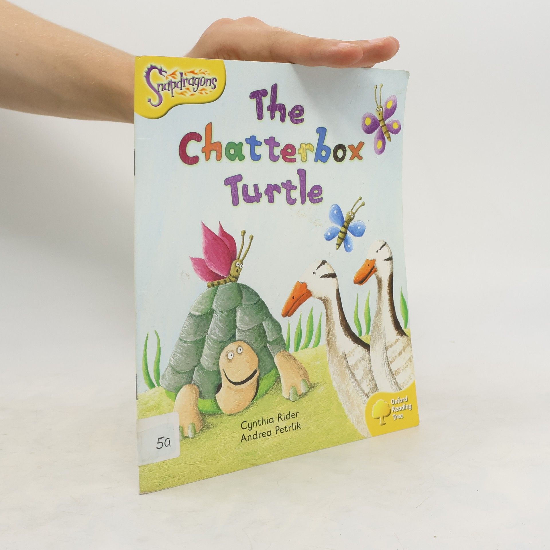 Cynthia Rider The Chatterbox Turtle