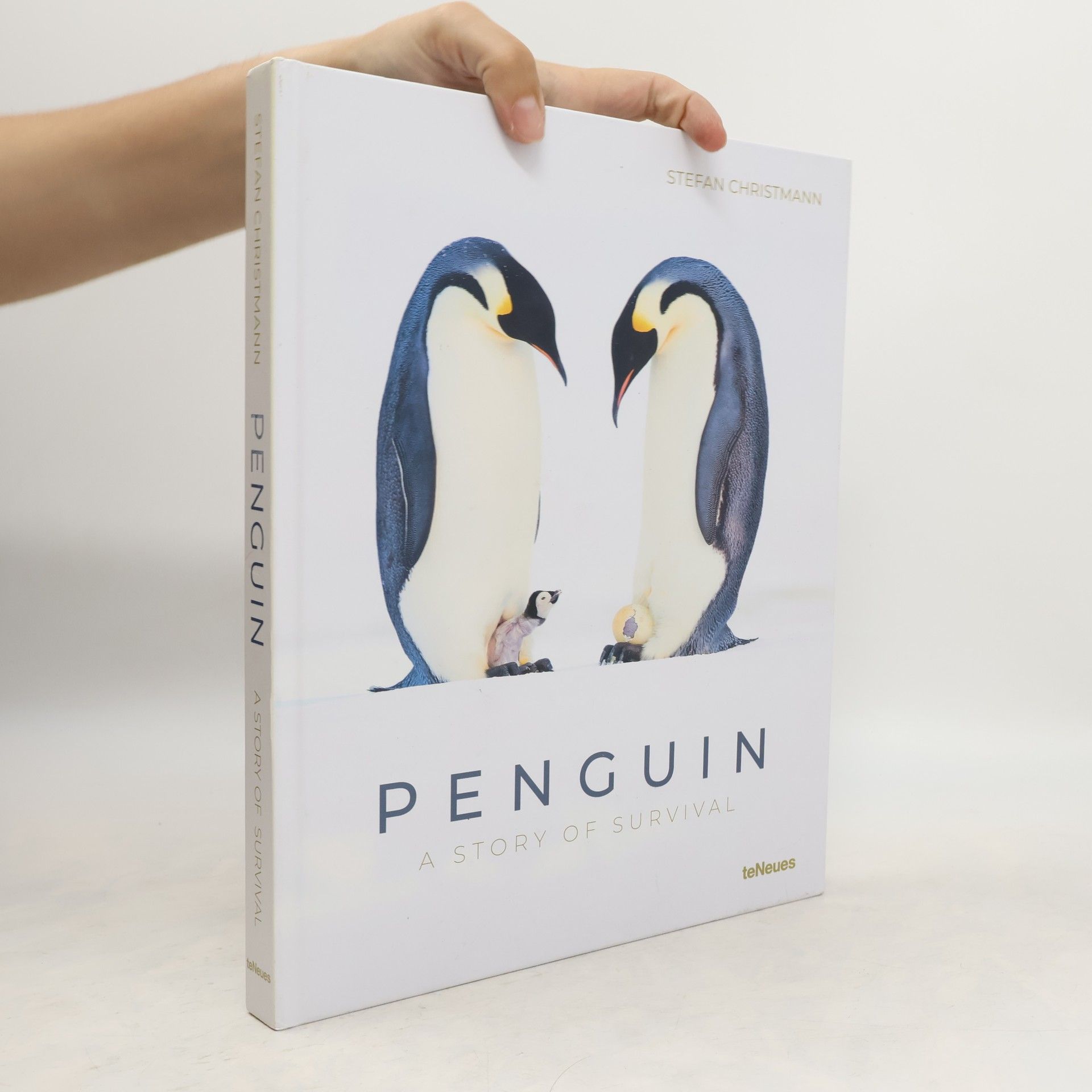 Stefanie Christmann Penguin