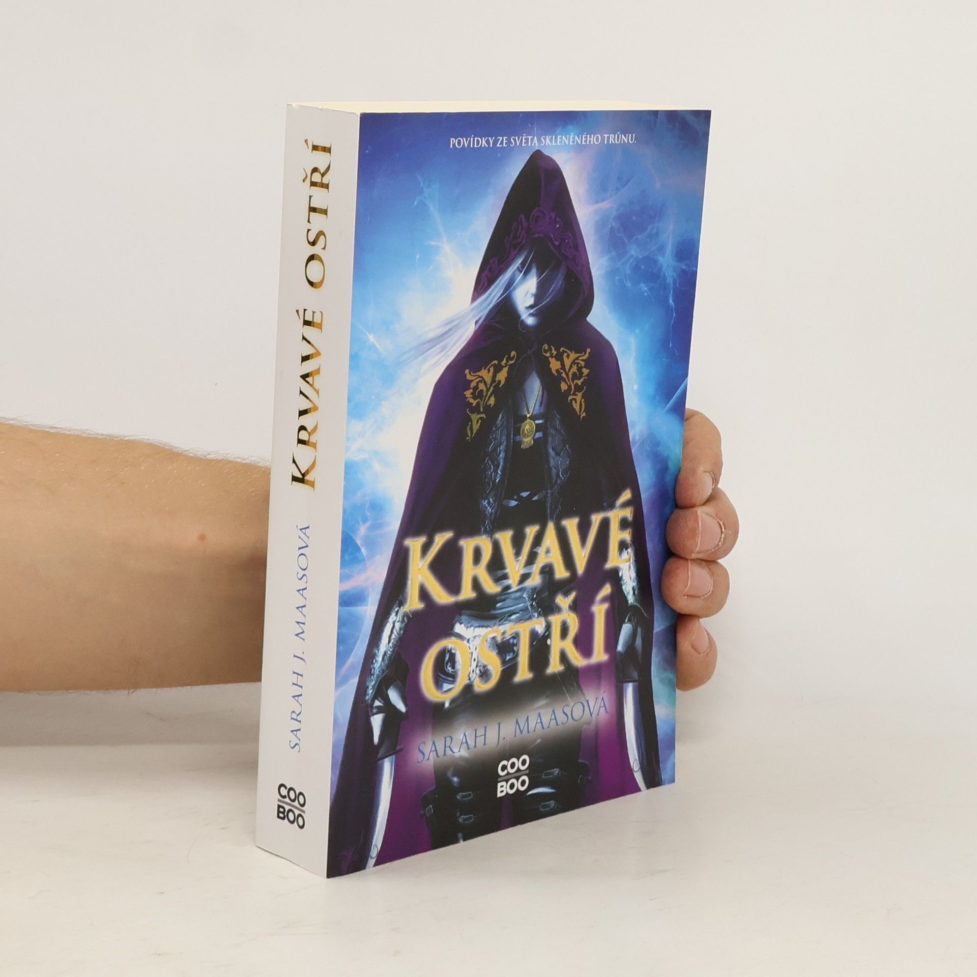 Sarah J. Maas Krvavé ostří