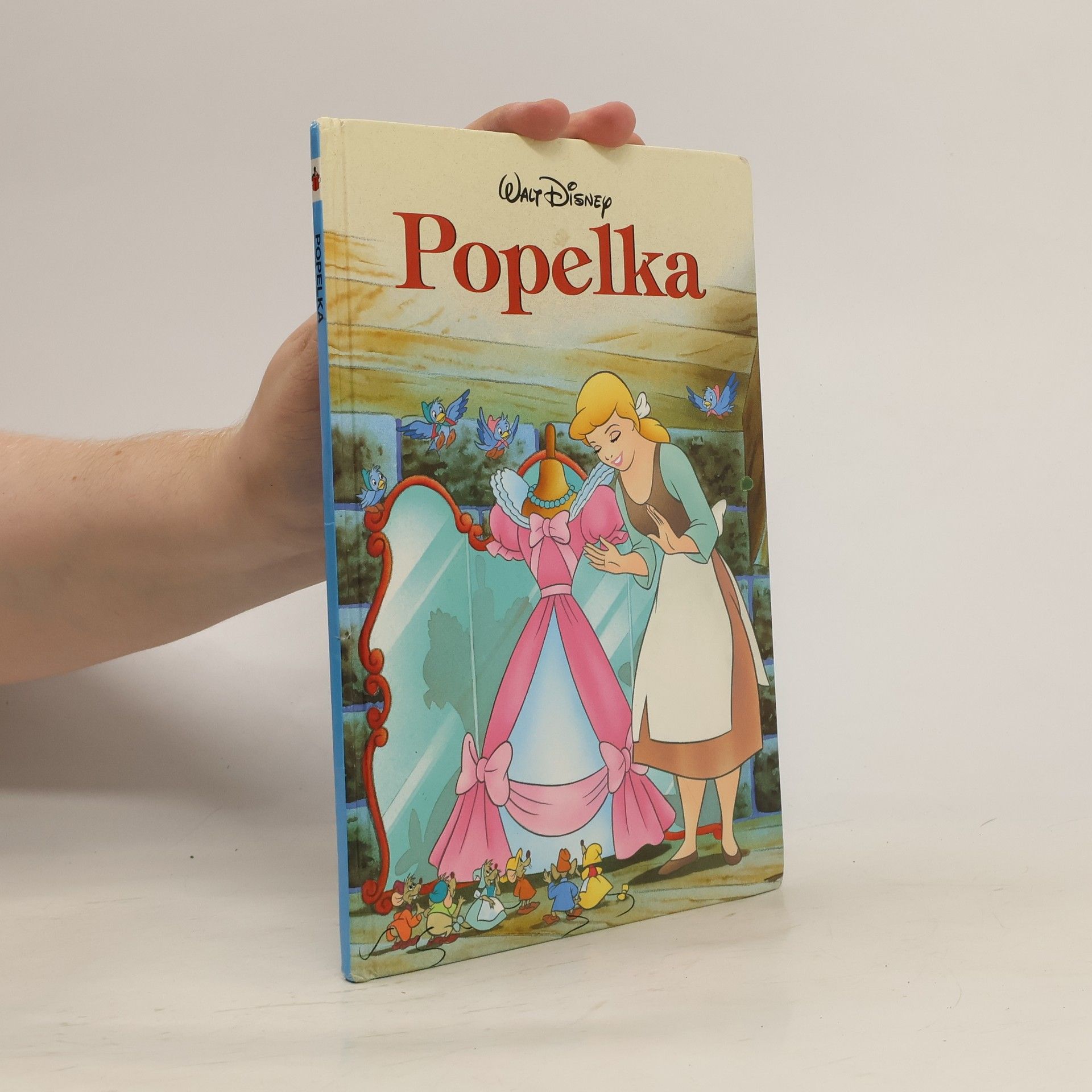 Markéta Černá Popelka